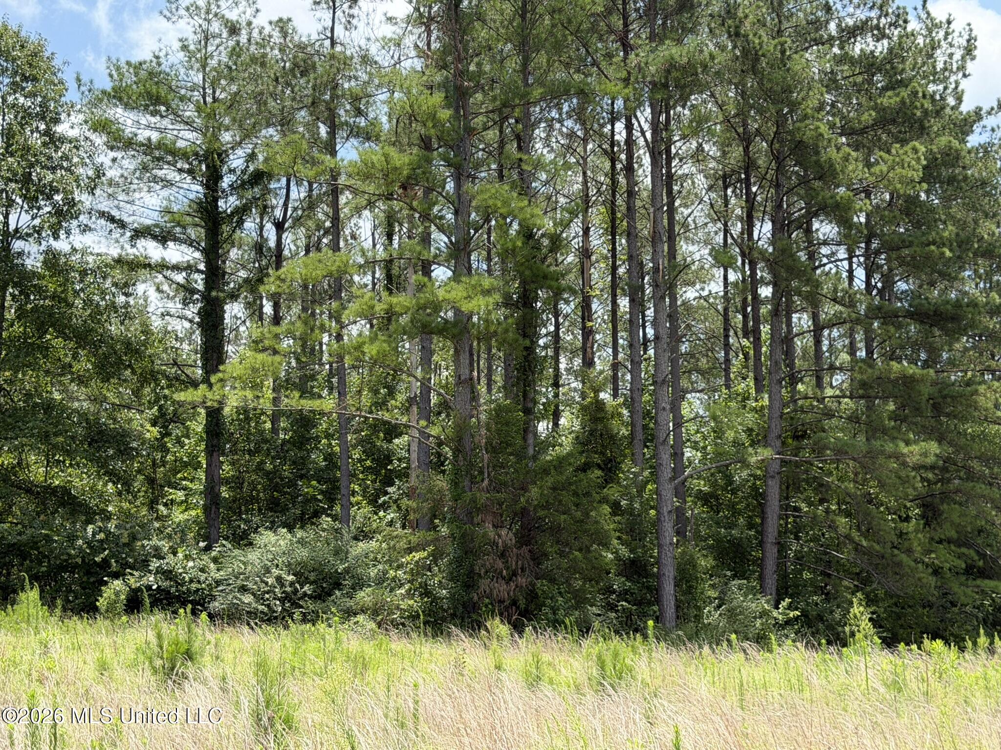 4267 Race Track Road Property Photo 52