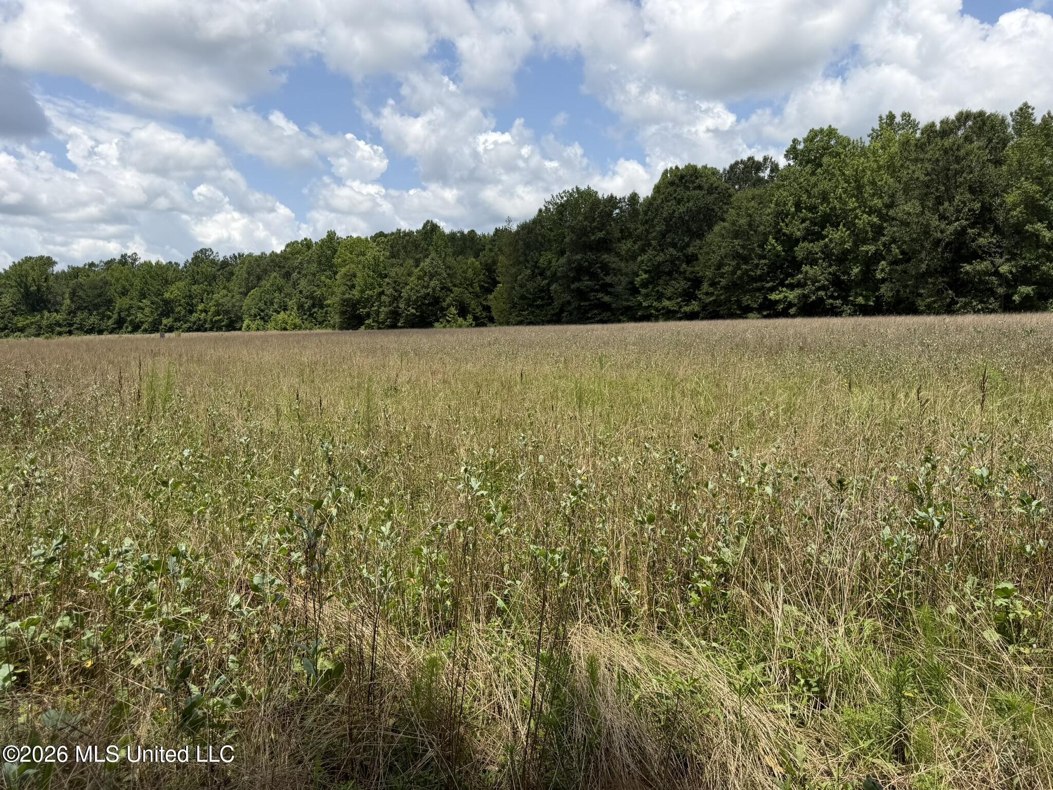 4267 Race Track Road Property Photo 53