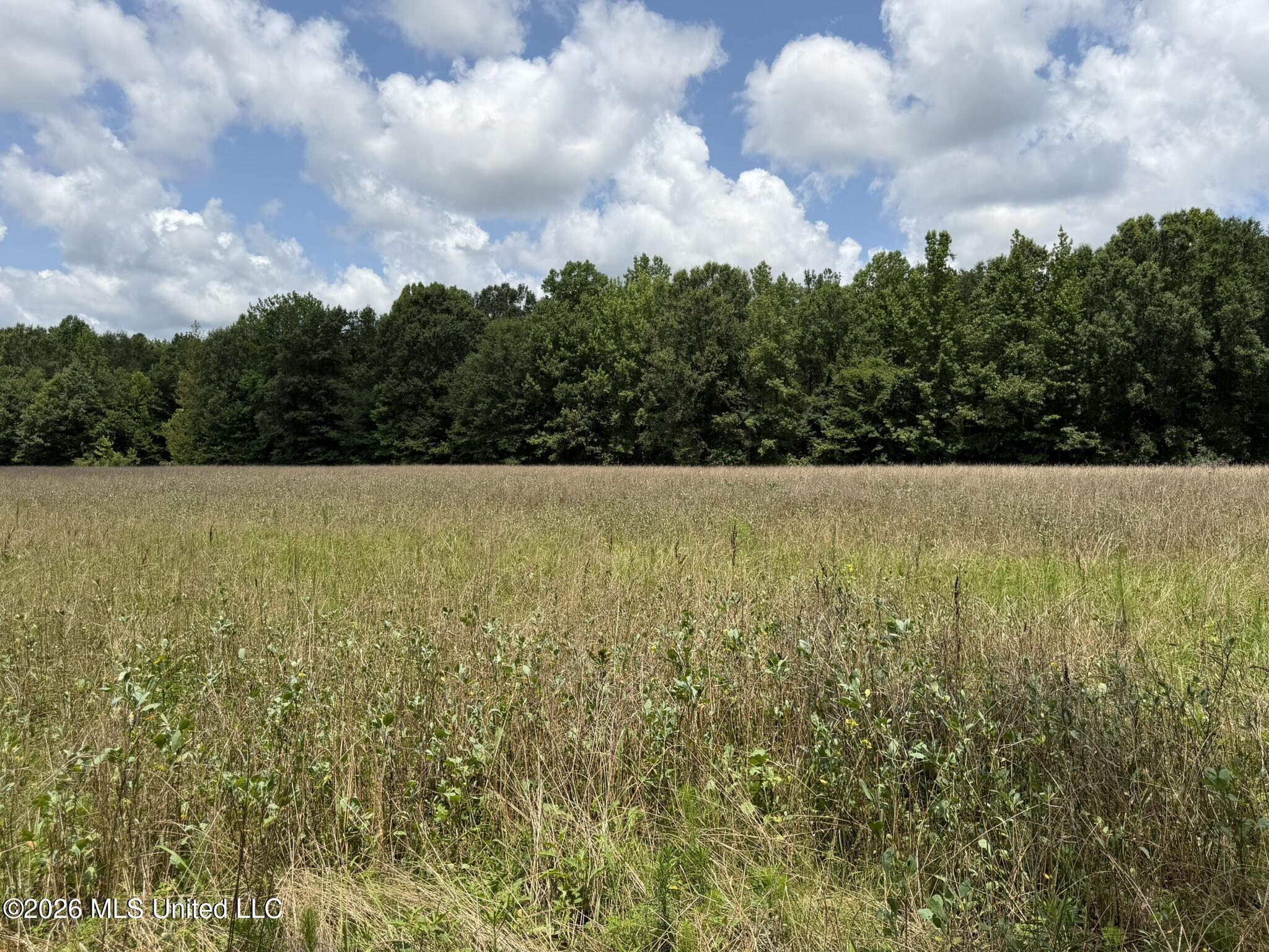 4267 Race Track Road Property Photo 54