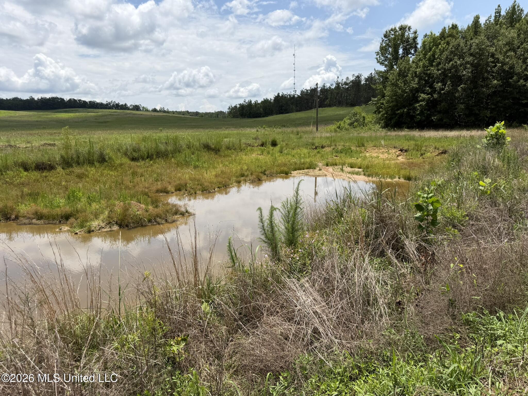 4267 Race Track Road Property Photo 56