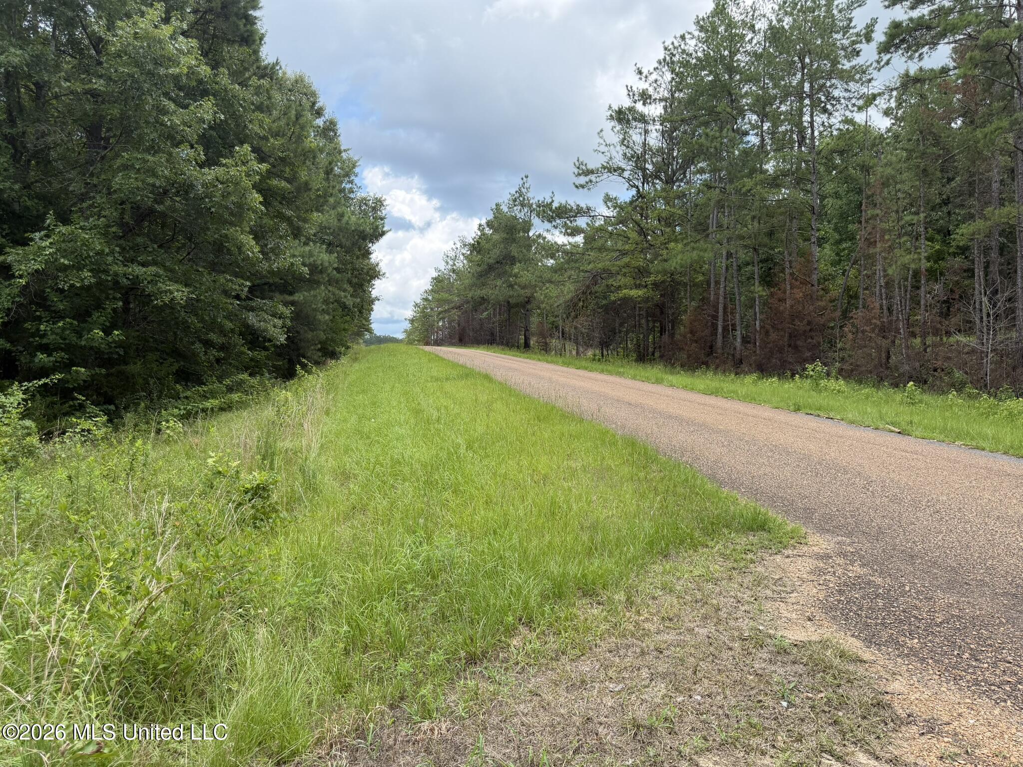 4267 Race Track Road Property Photo 57