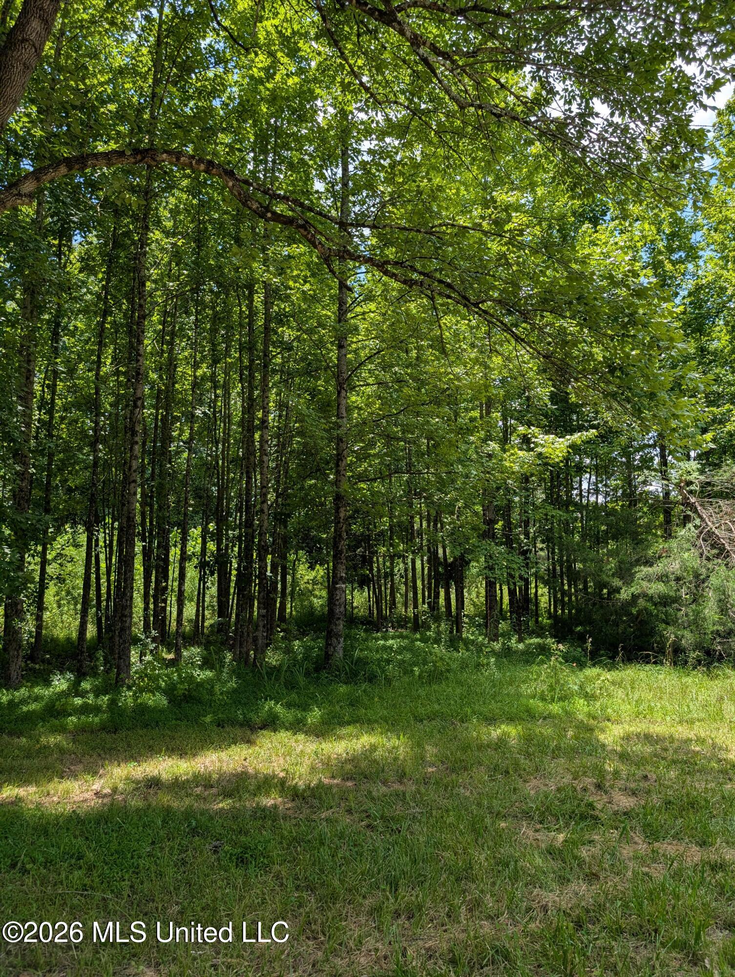 109 W Caldwell Road Property Photo 3