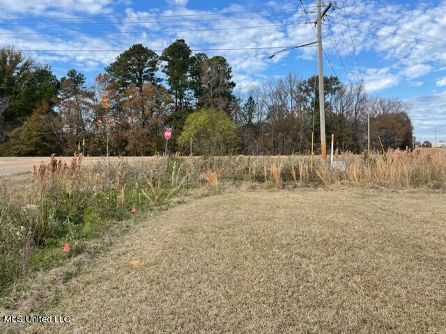N Old Canton Road Property Photo 6