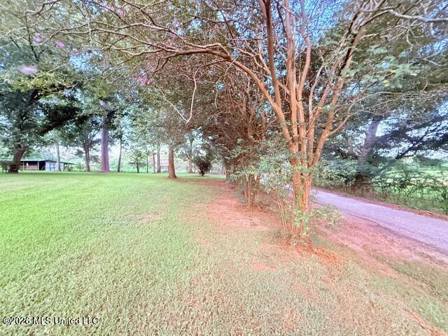 25 Wes Dillon Road Property Photo 3