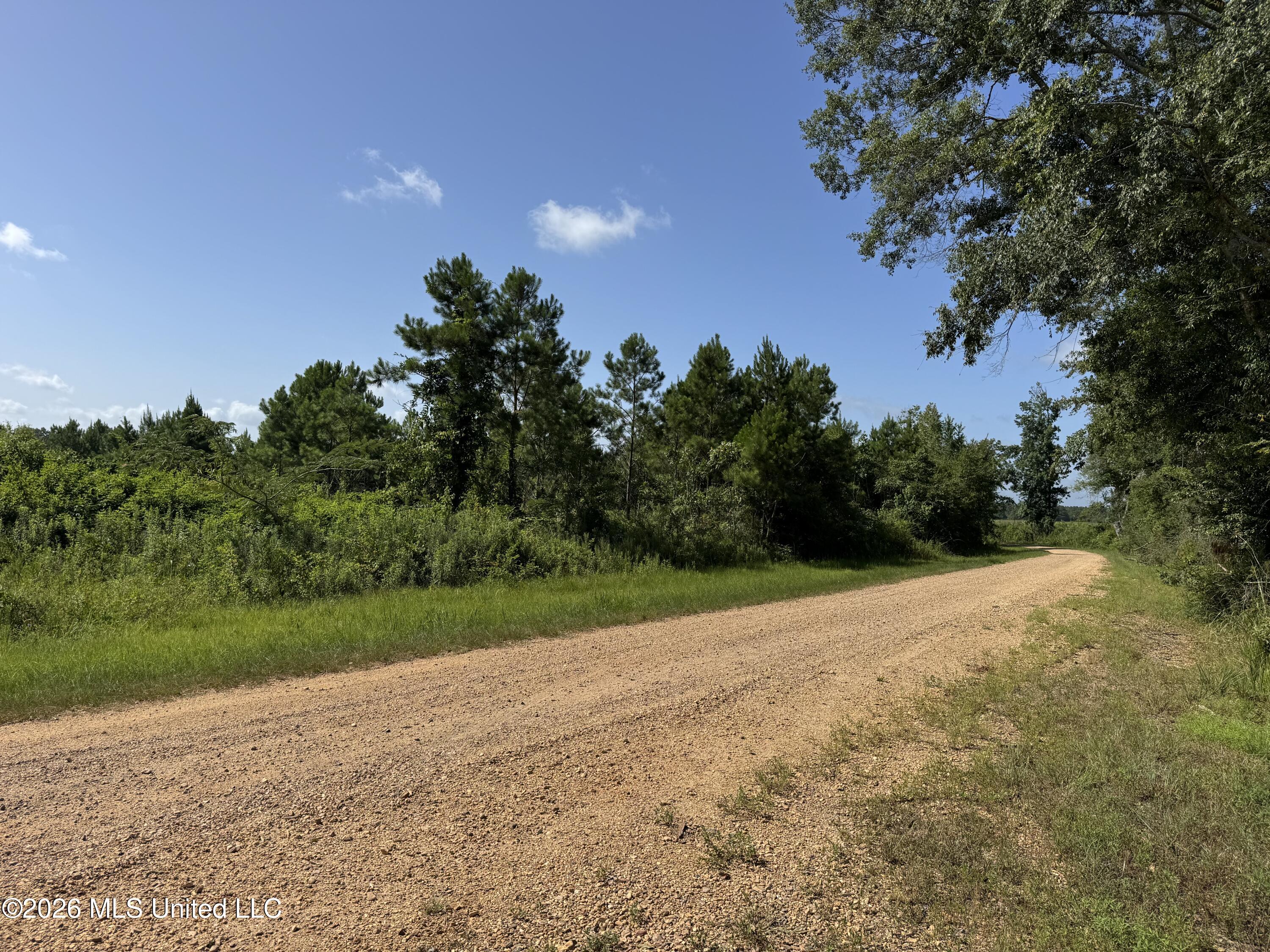 32 Sauls Road Property Photo 1