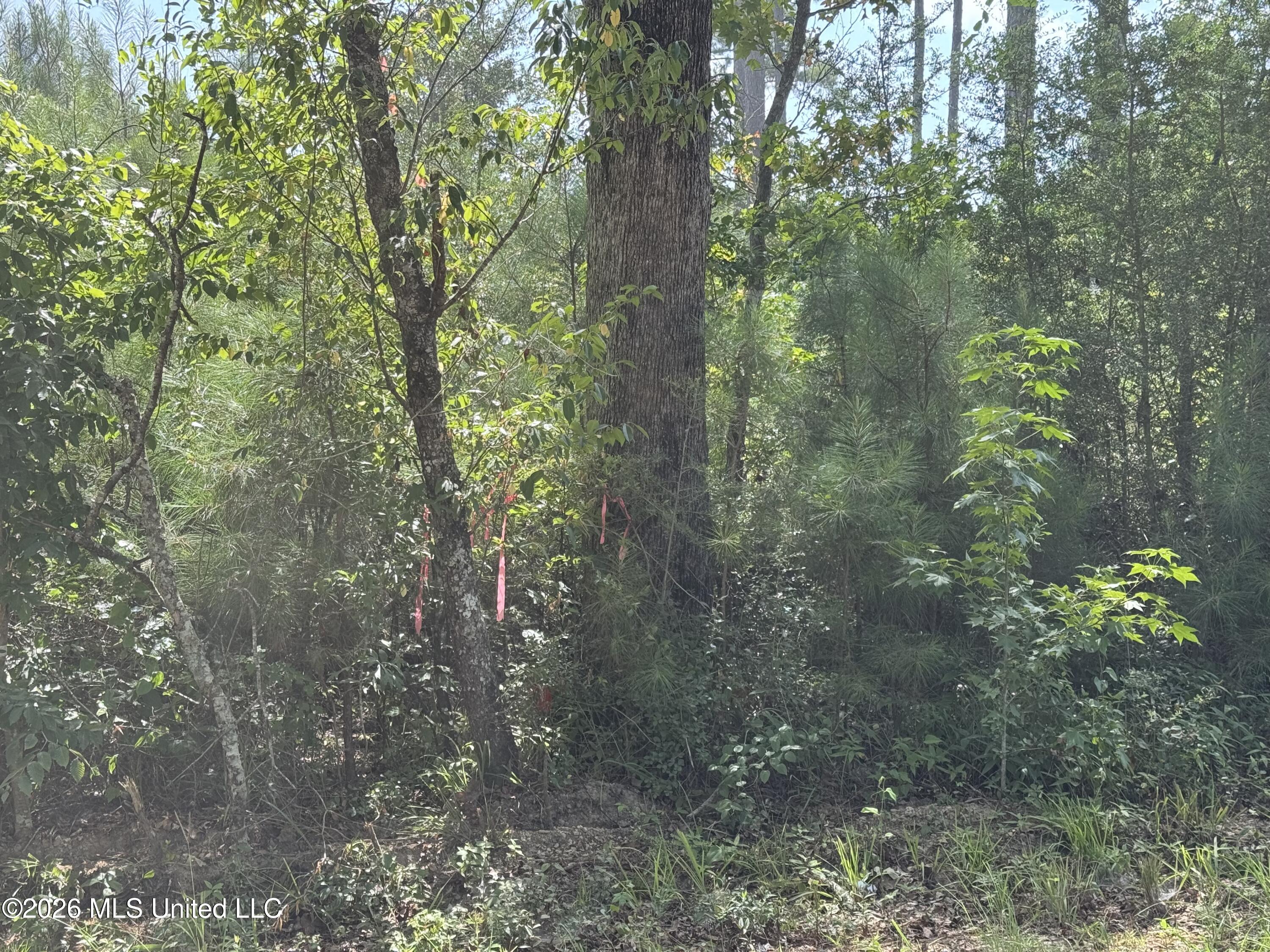 32 Sauls Road Property Photo 9