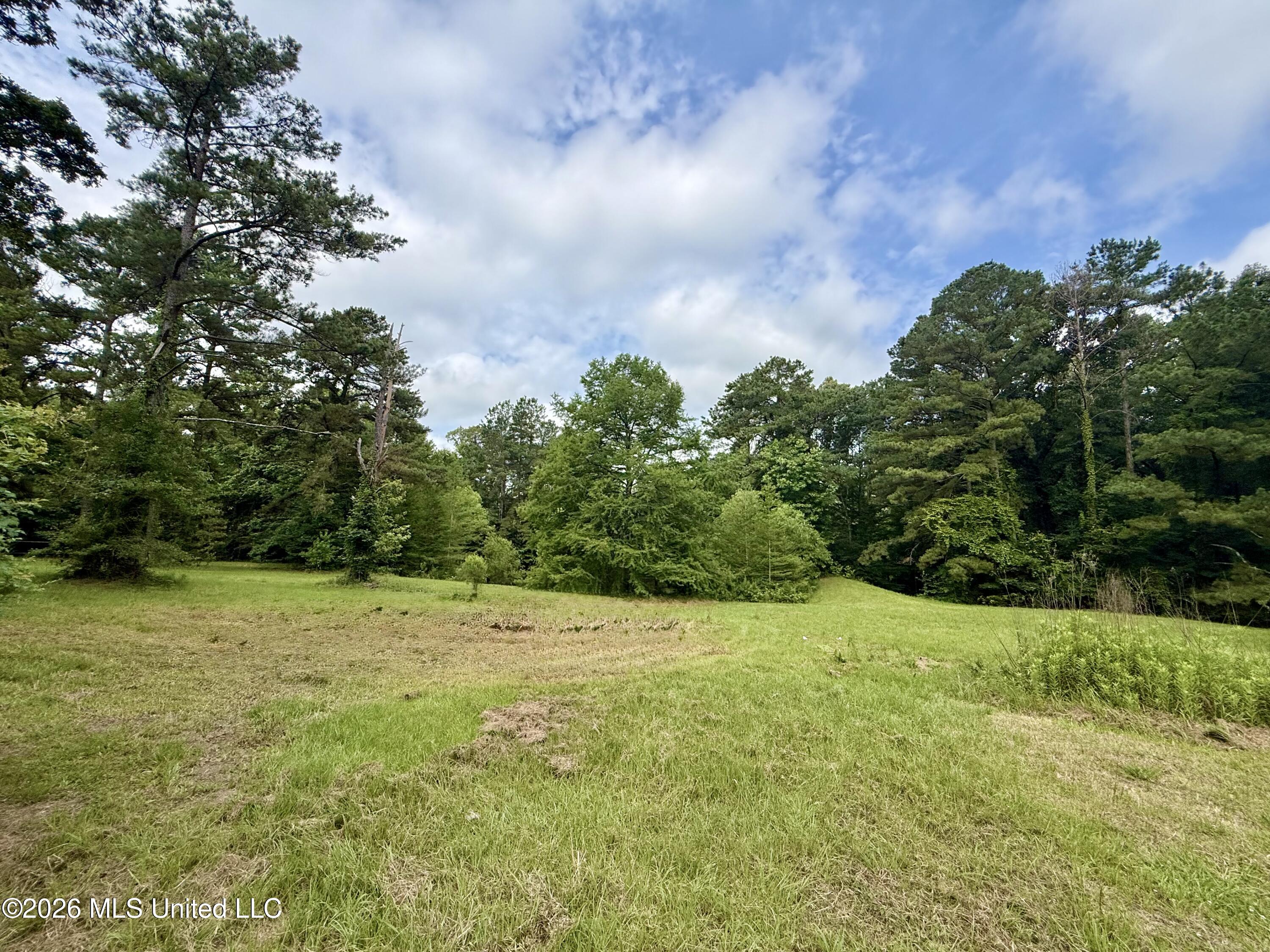 1019 Dry Grove Road Property Photo 10