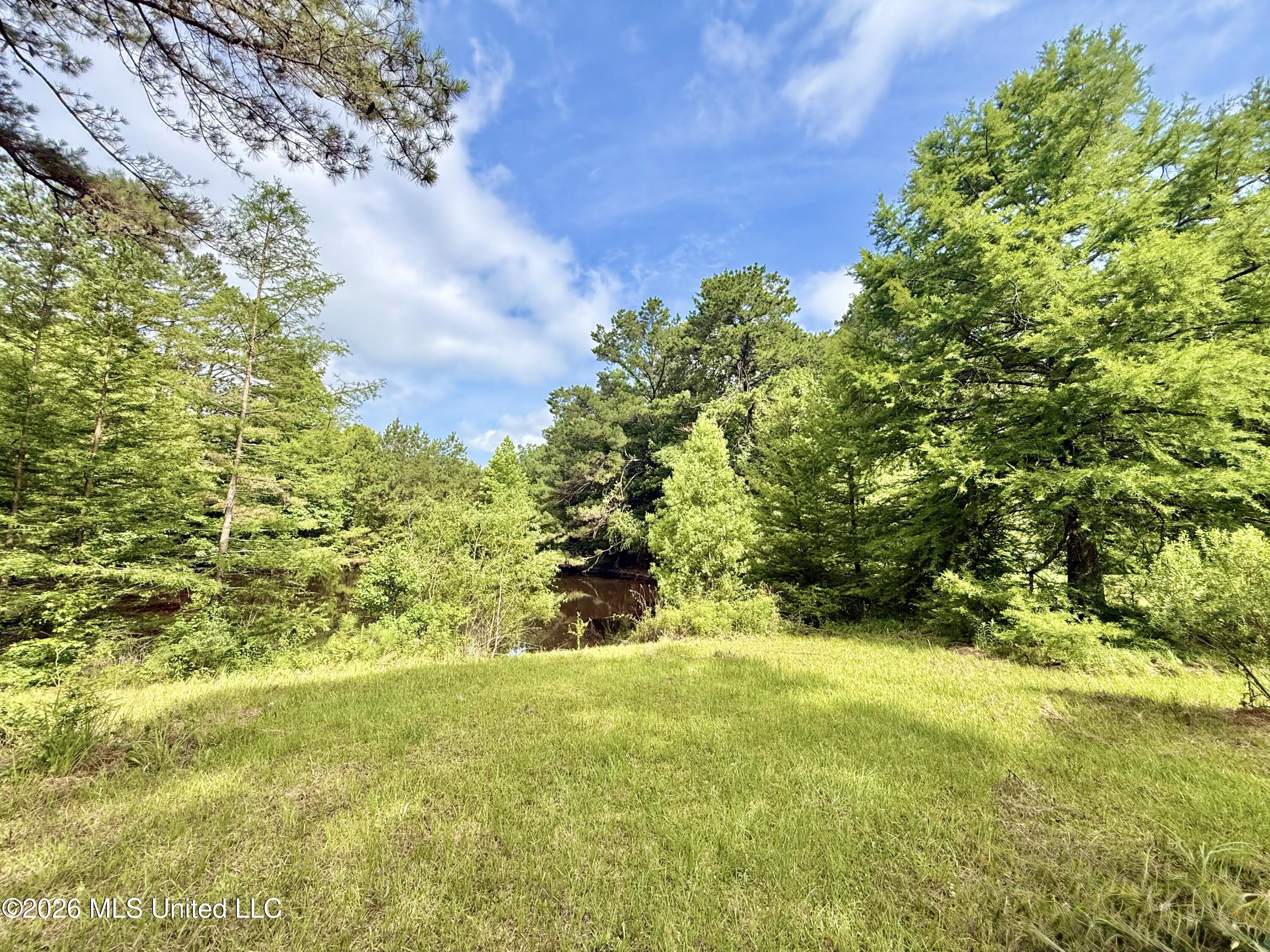 1019 Dry Grove Road Property Photo 11
