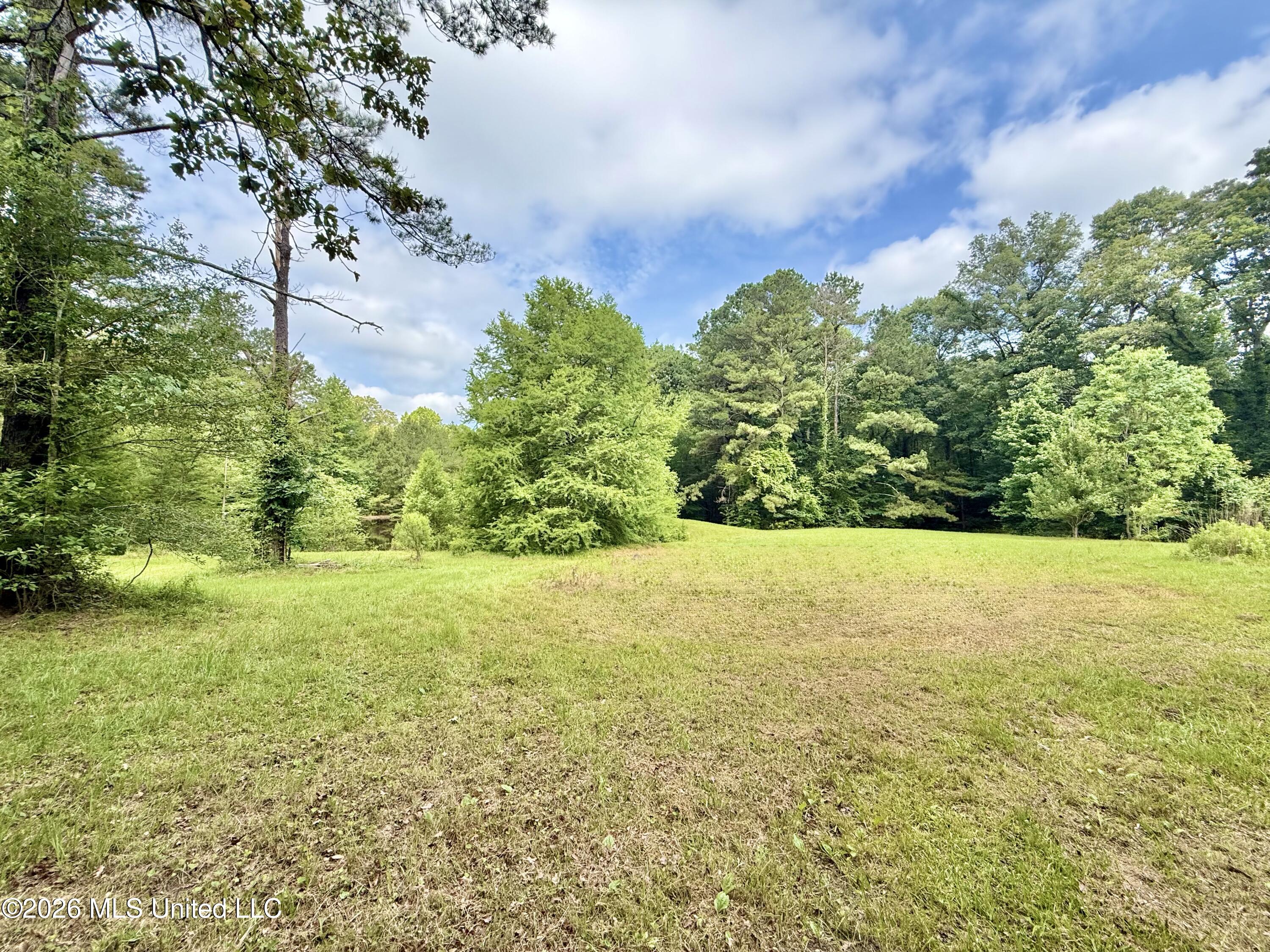 1019 Dry Grove Road Property Photo 15