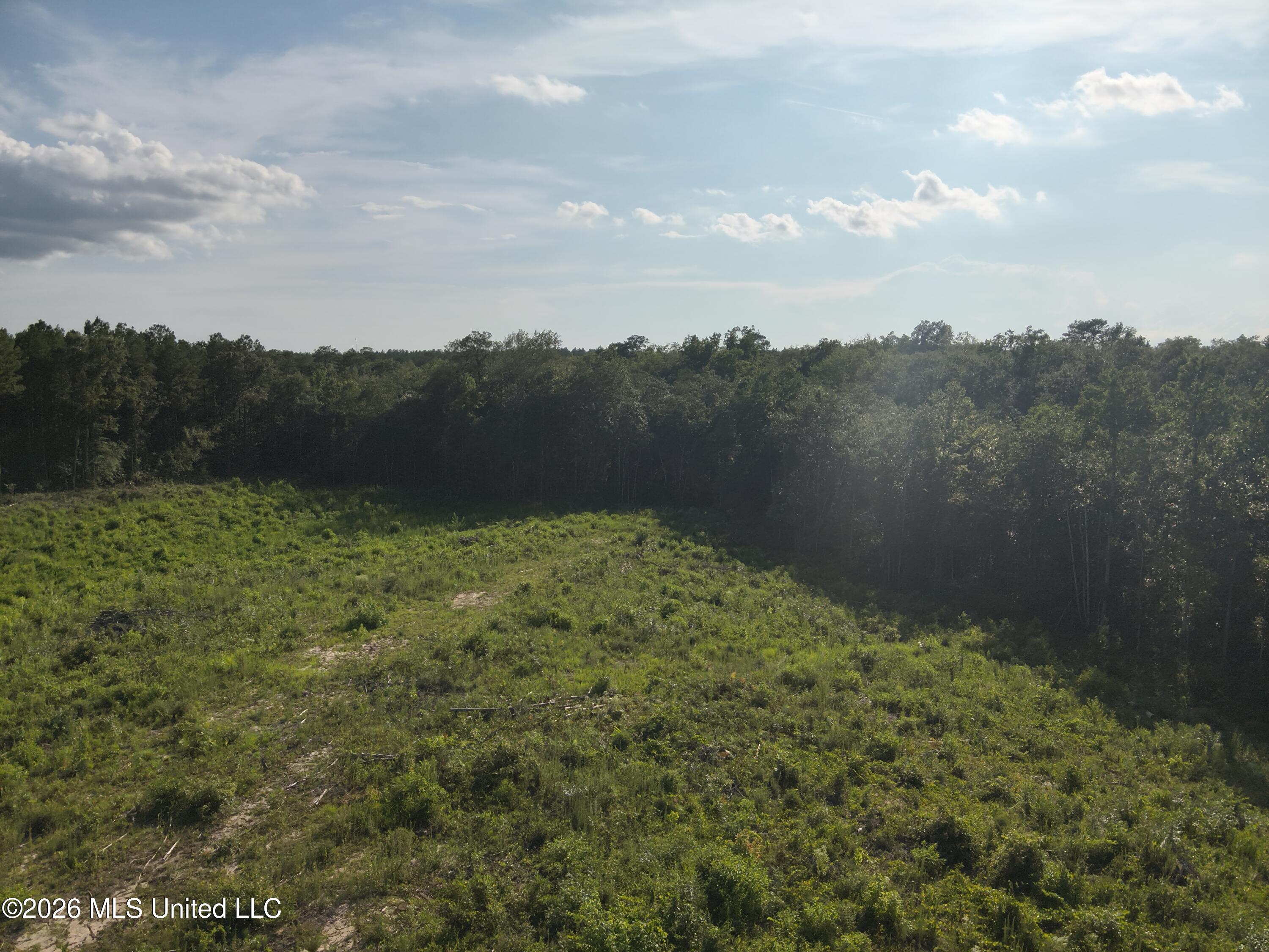 Oscar Bell Road Property Photo 12