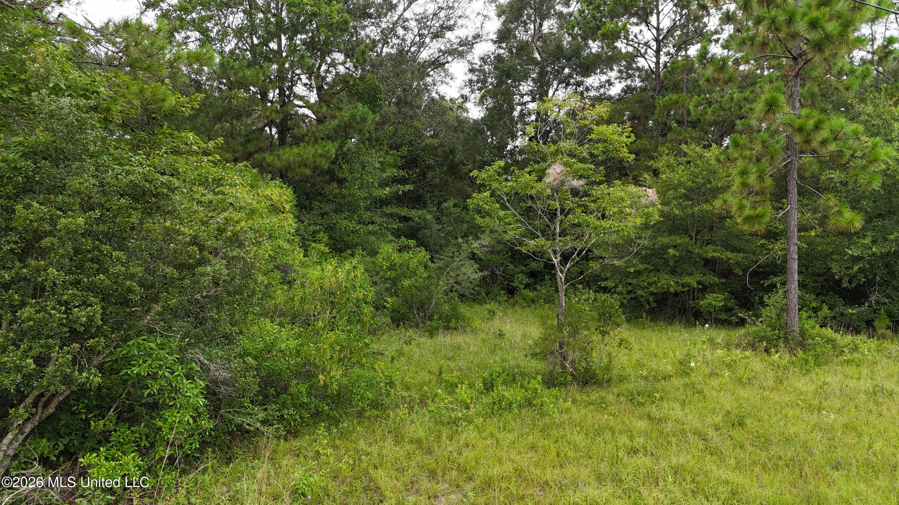 Delia Drive Property Photo 9