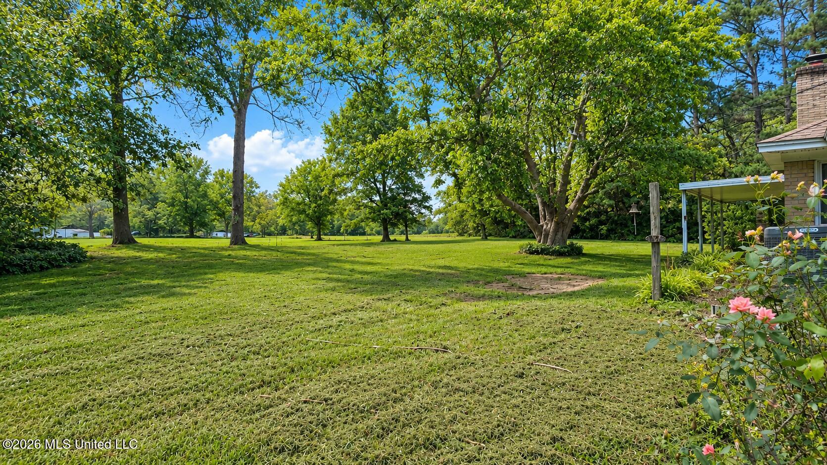 35 Highway 301 Property Photo 30