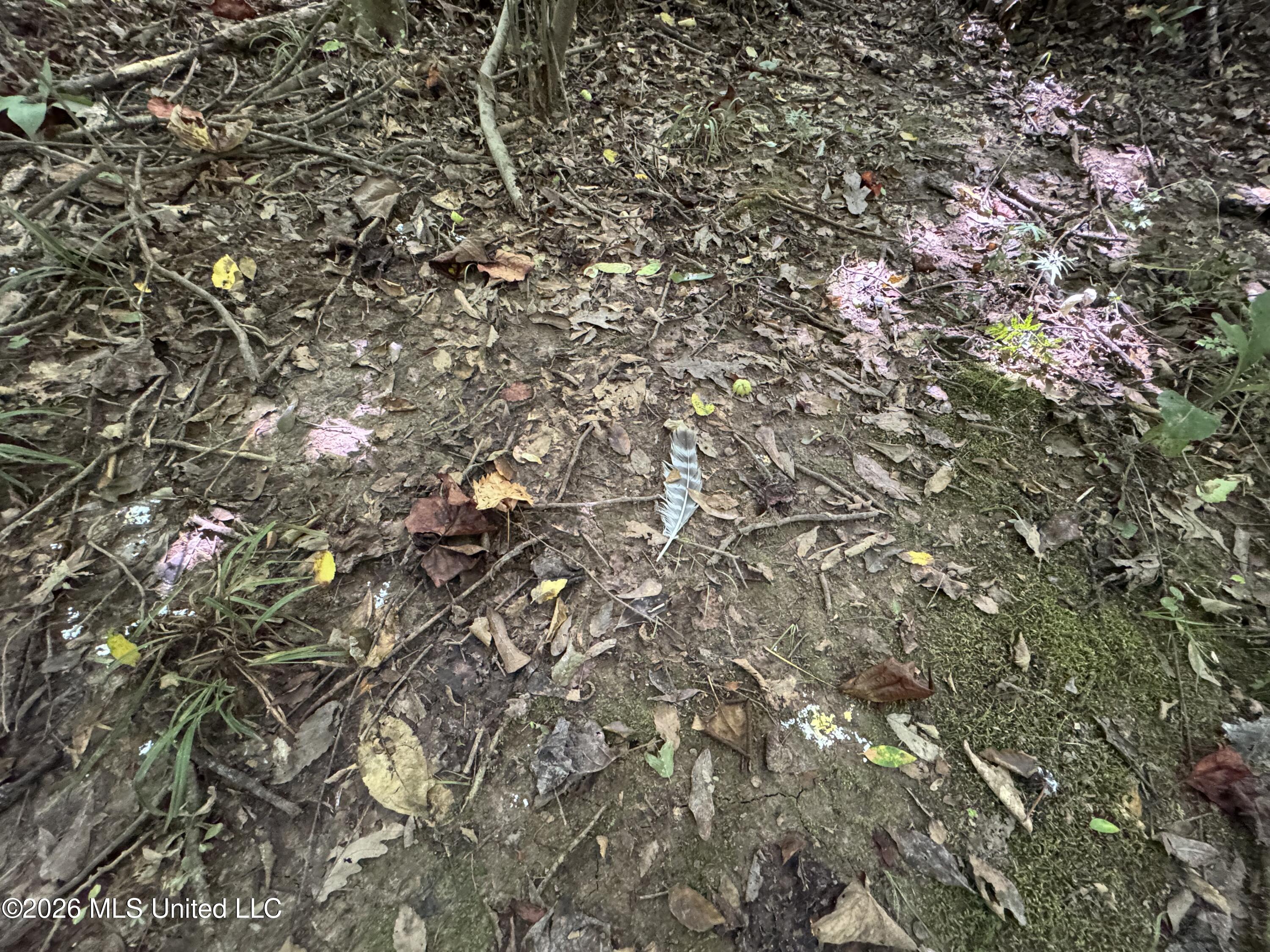 32a Sauls Road Property Photo 2