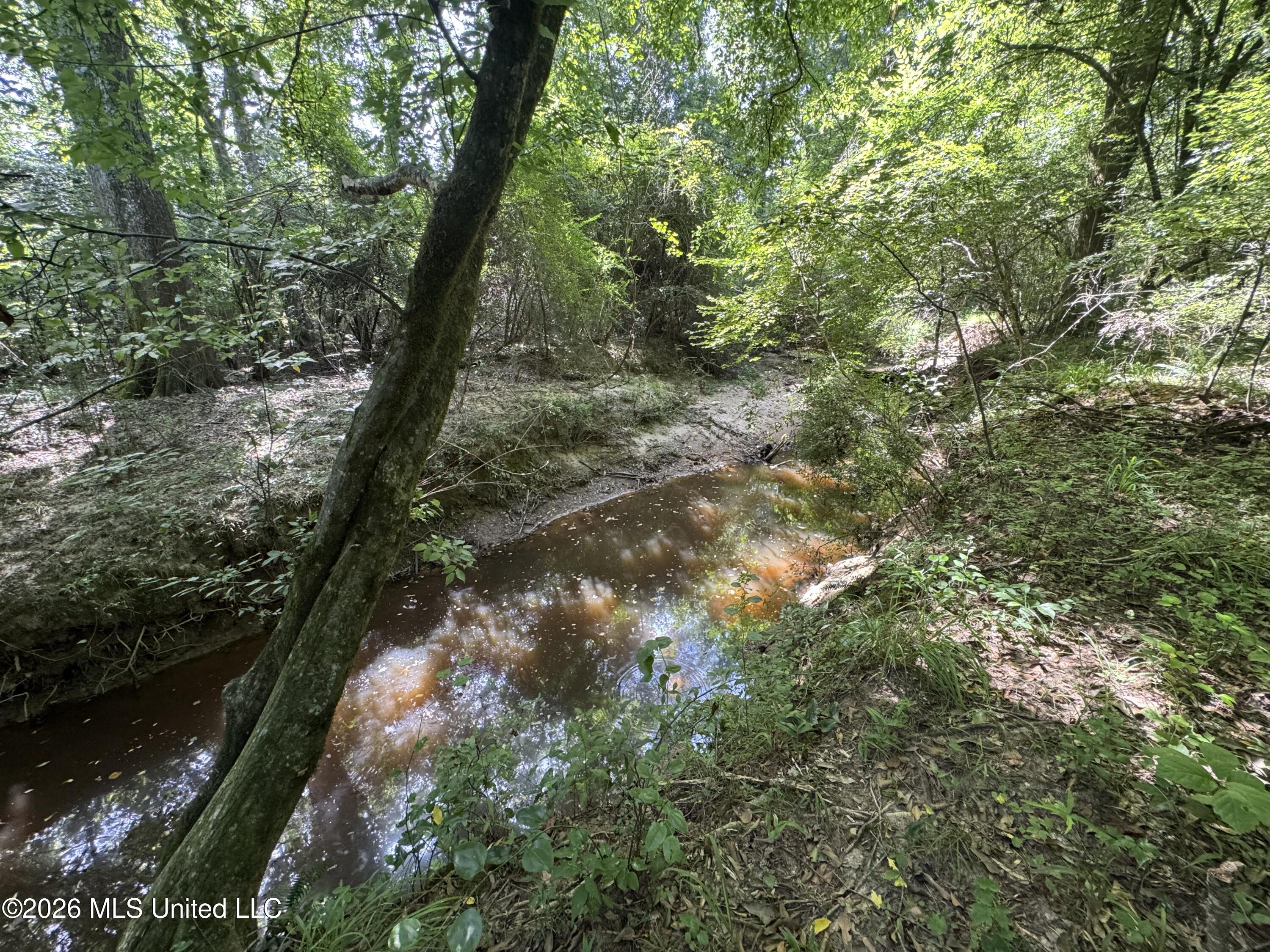 32a Sauls Road Property Photo 6
