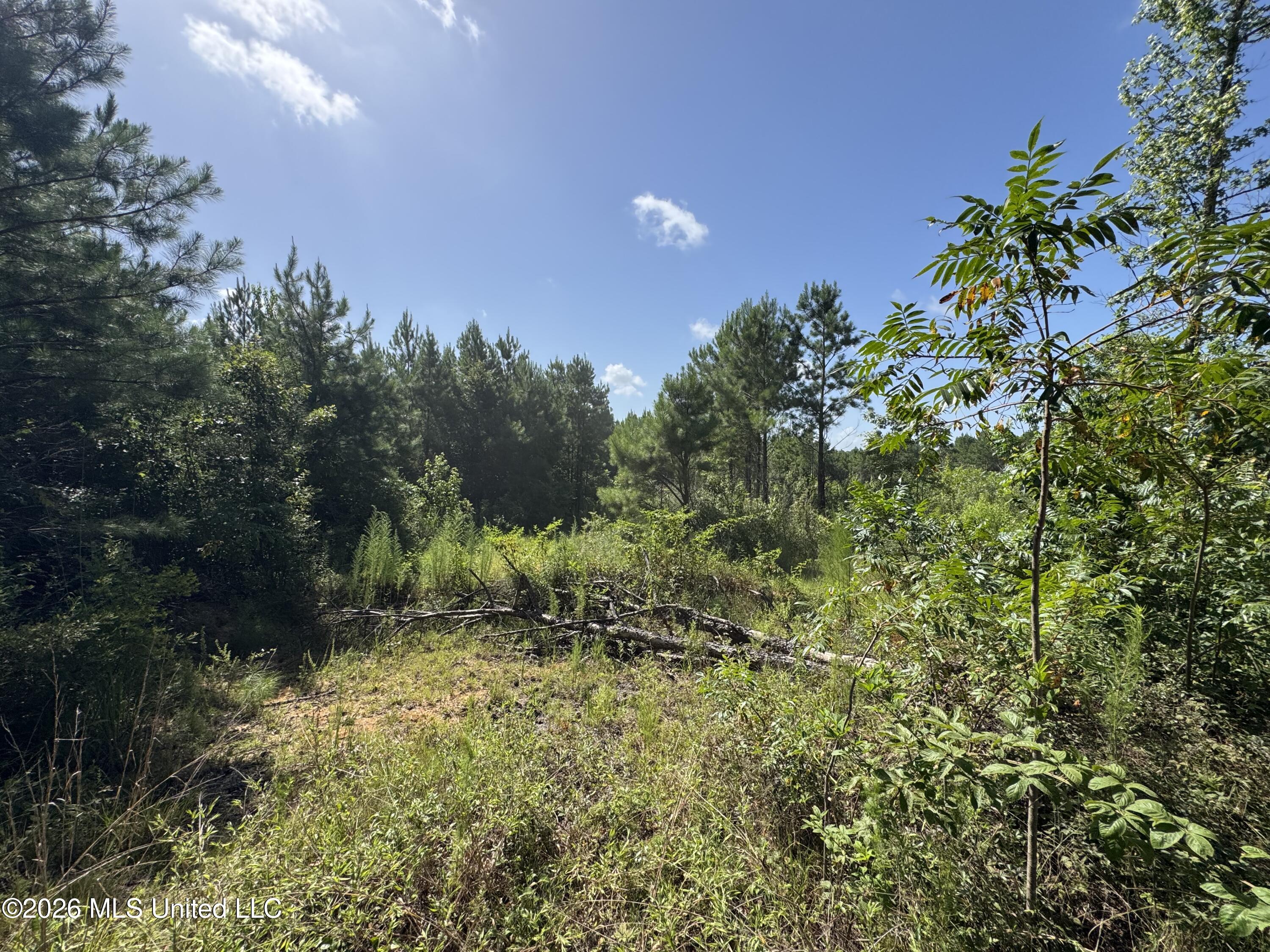 32a Sauls Road Property Photo 10