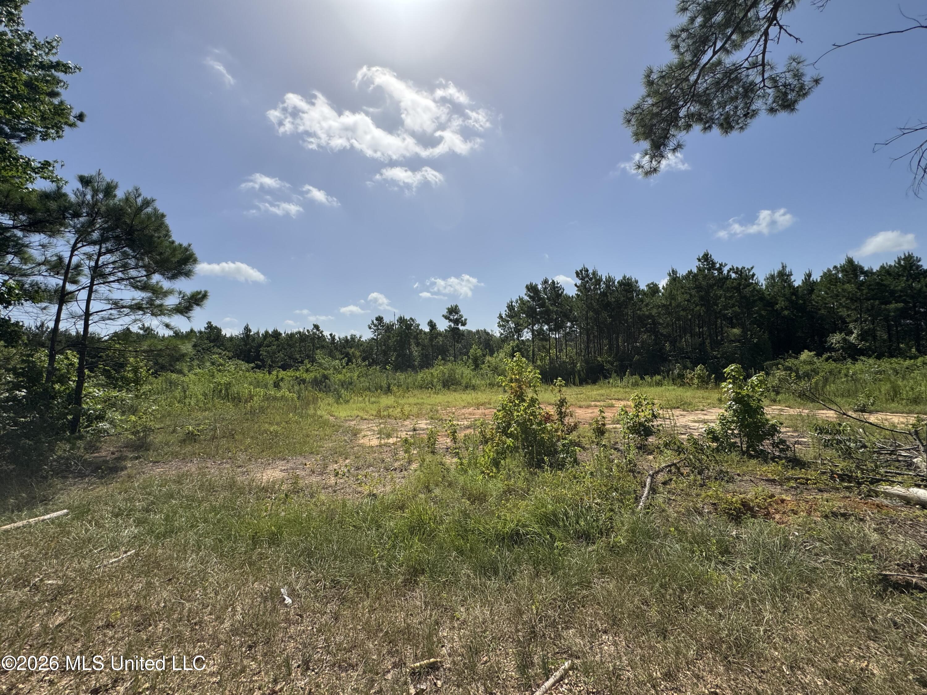 32a Sauls Road Property Photo 12