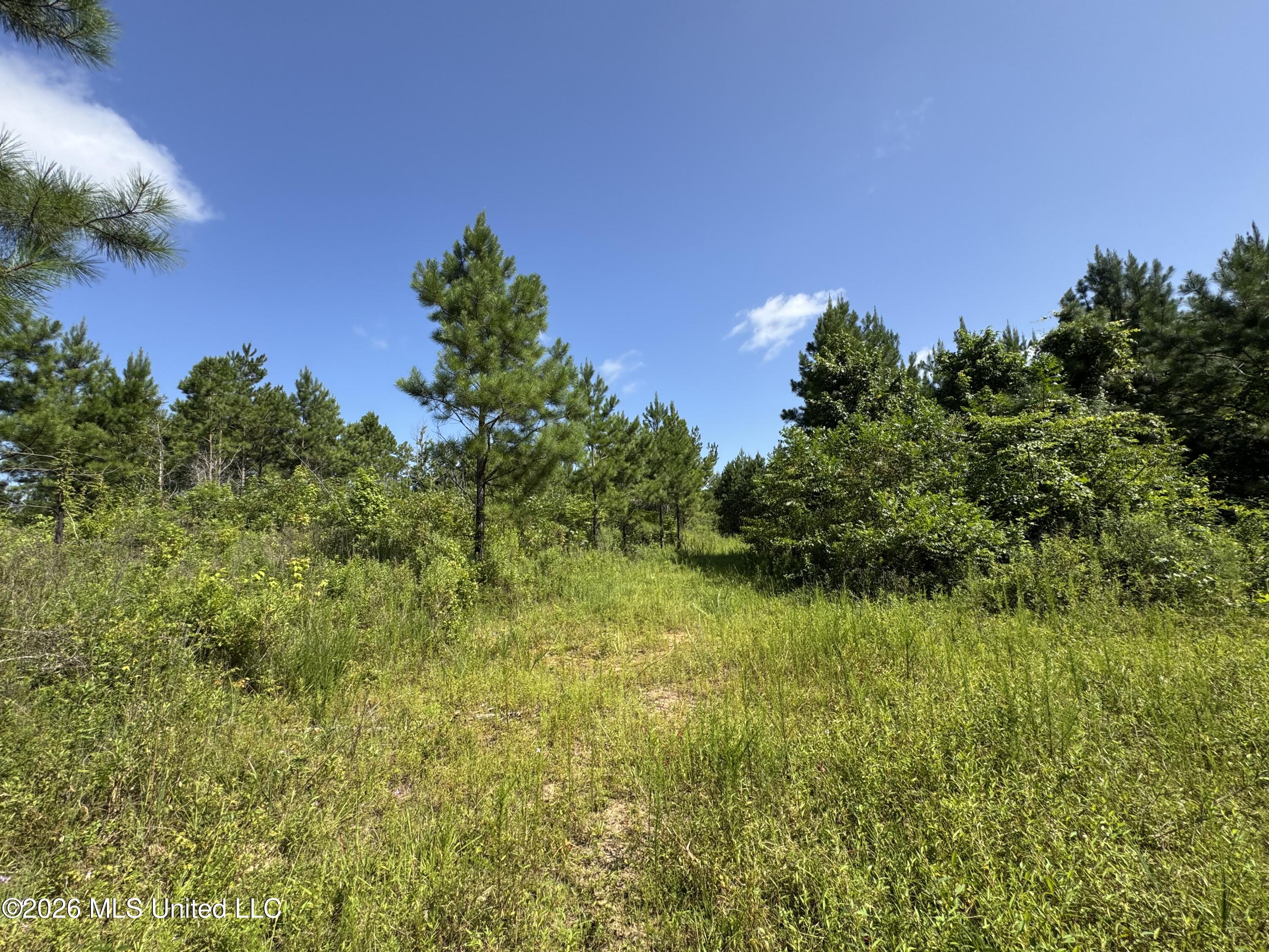 32a Sauls Road Property Photo 14