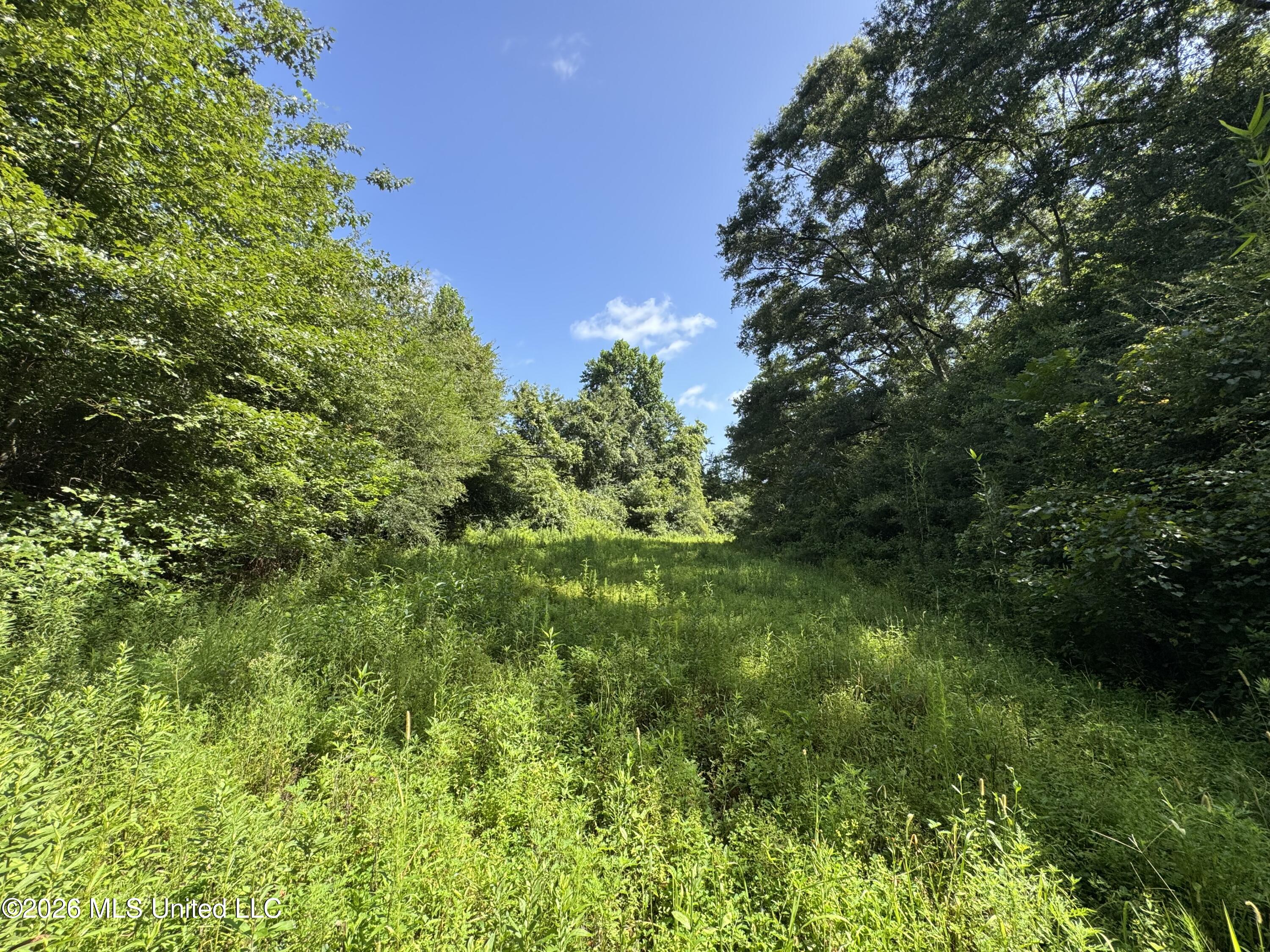 32a Sauls Road Property Photo 16