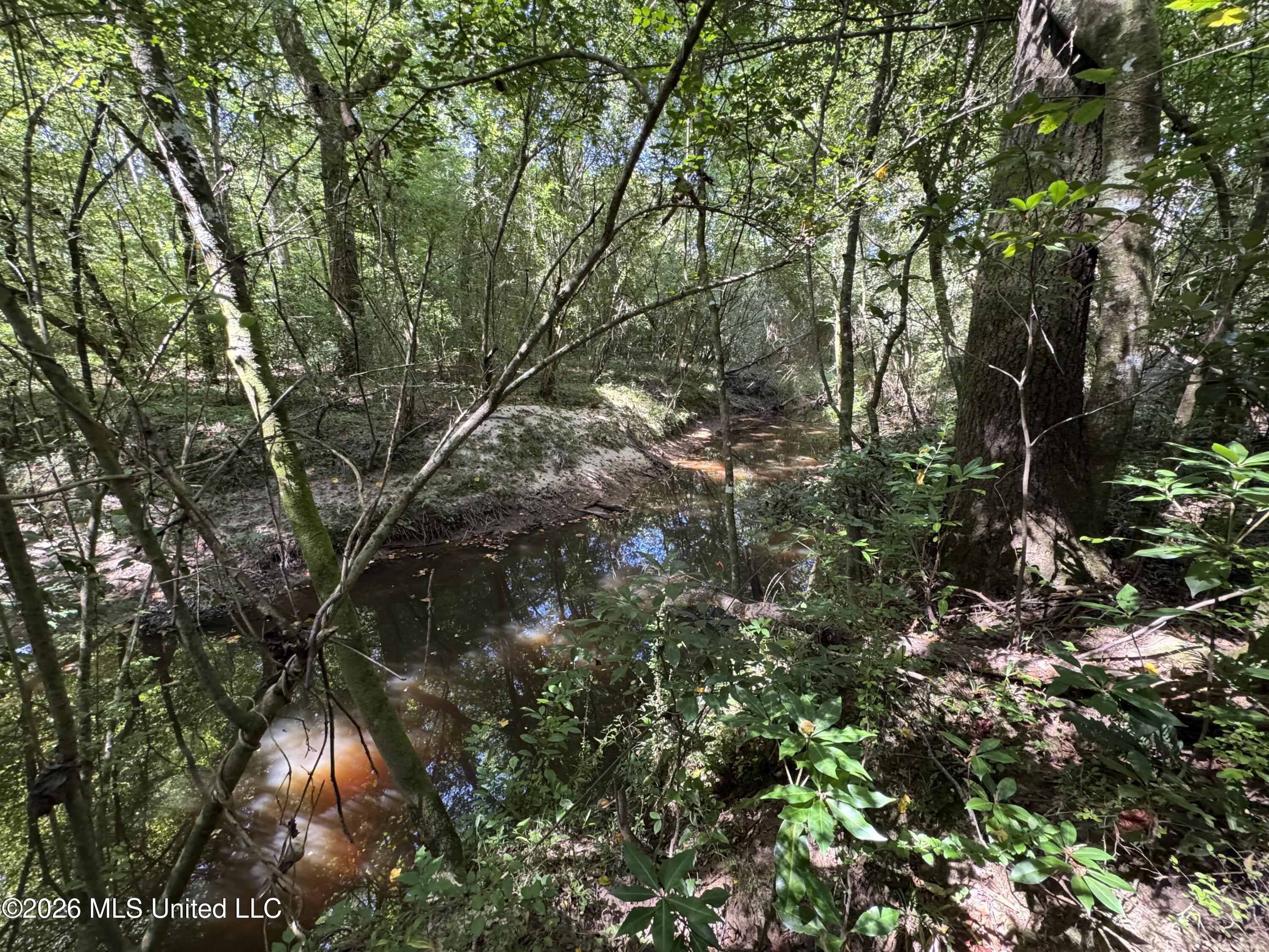 32a Sauls Road Property Photo 21