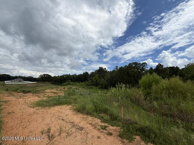 7 Taylor Nicole Road Property Photo 2