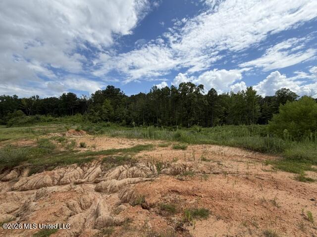 7 Taylor Nicole Road Property Photo 3