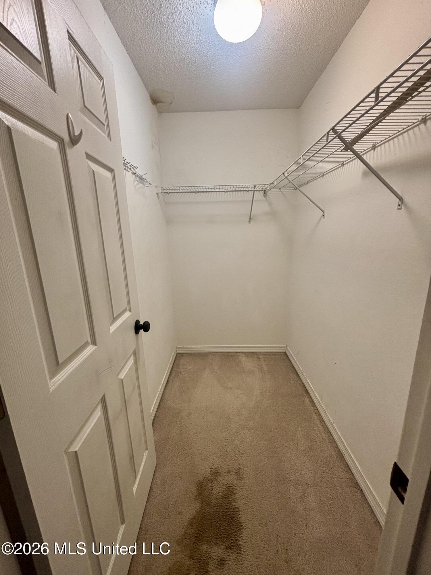 7517 Oak Cove Drive Property Photo 12