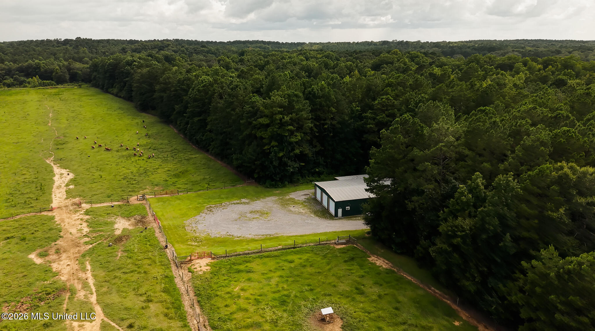 3024 Us-84 Property Photo 49