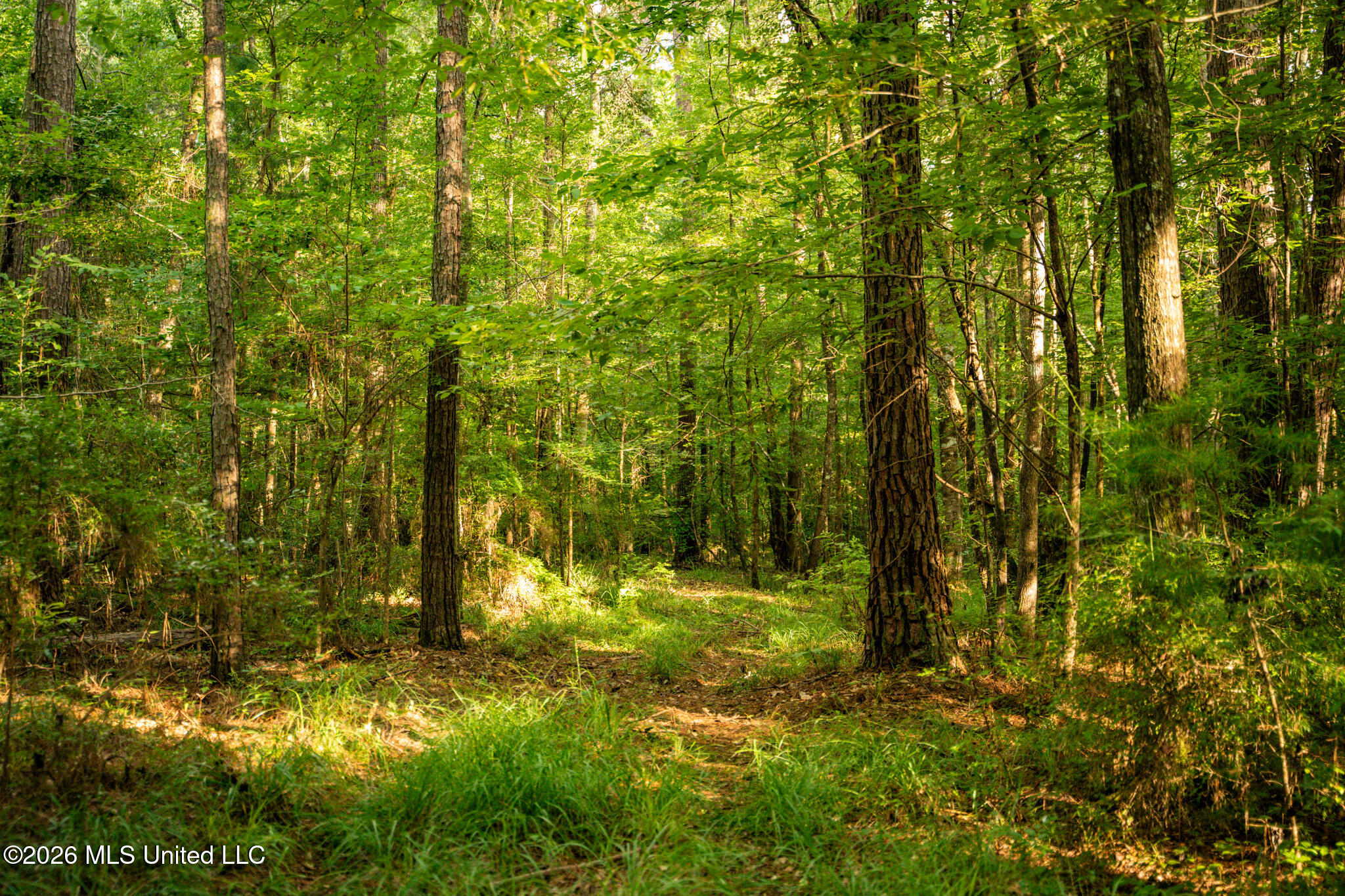 3024 Us-84 Property Photo 64