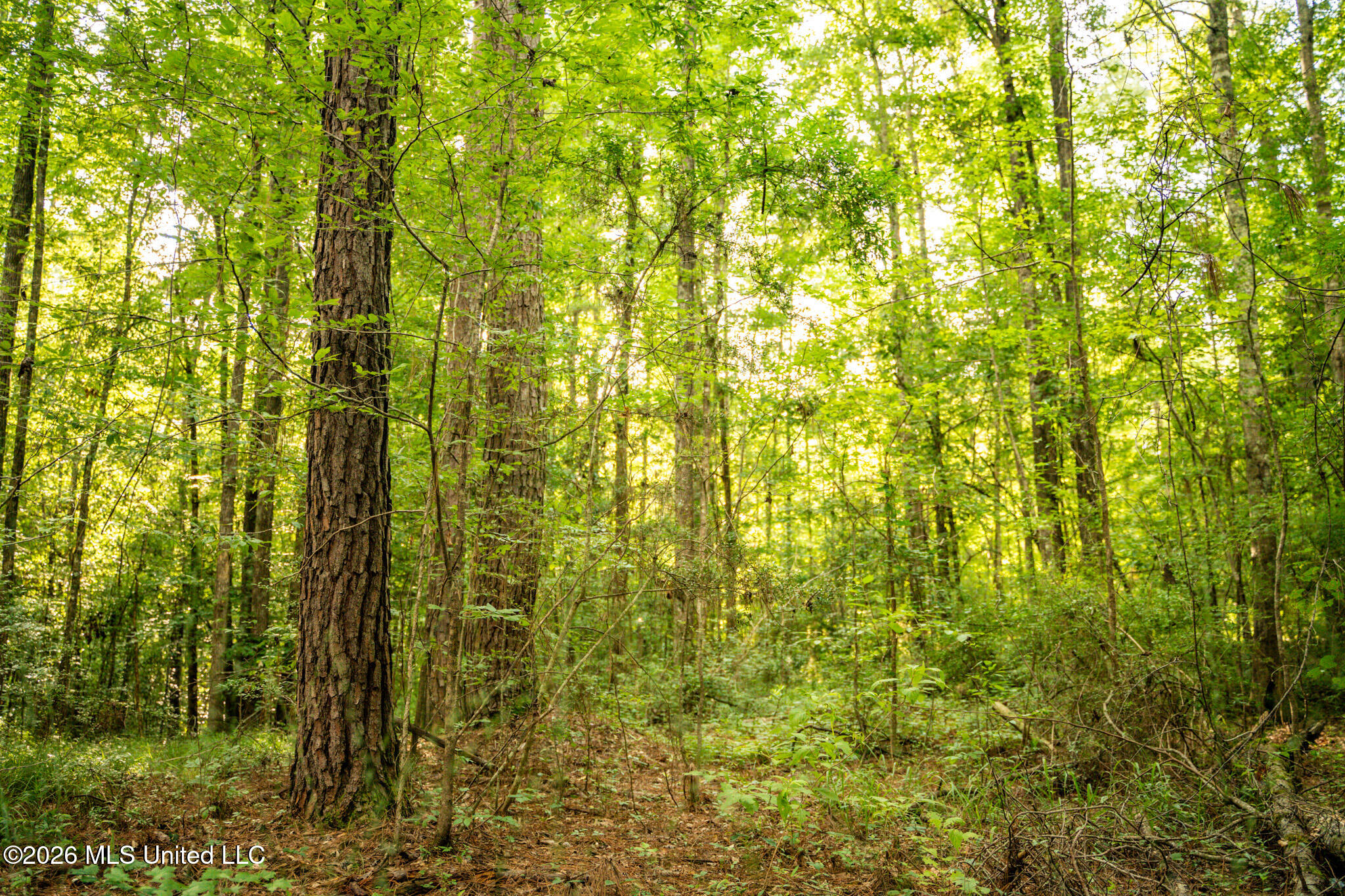 3024 Us-84 Property Photo 69