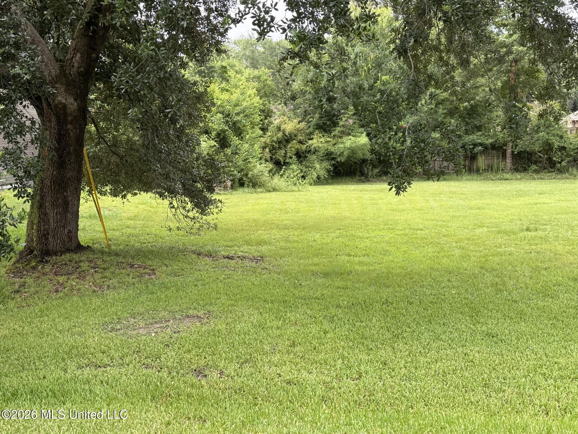 E Diamondhead Drive Property Photo 2