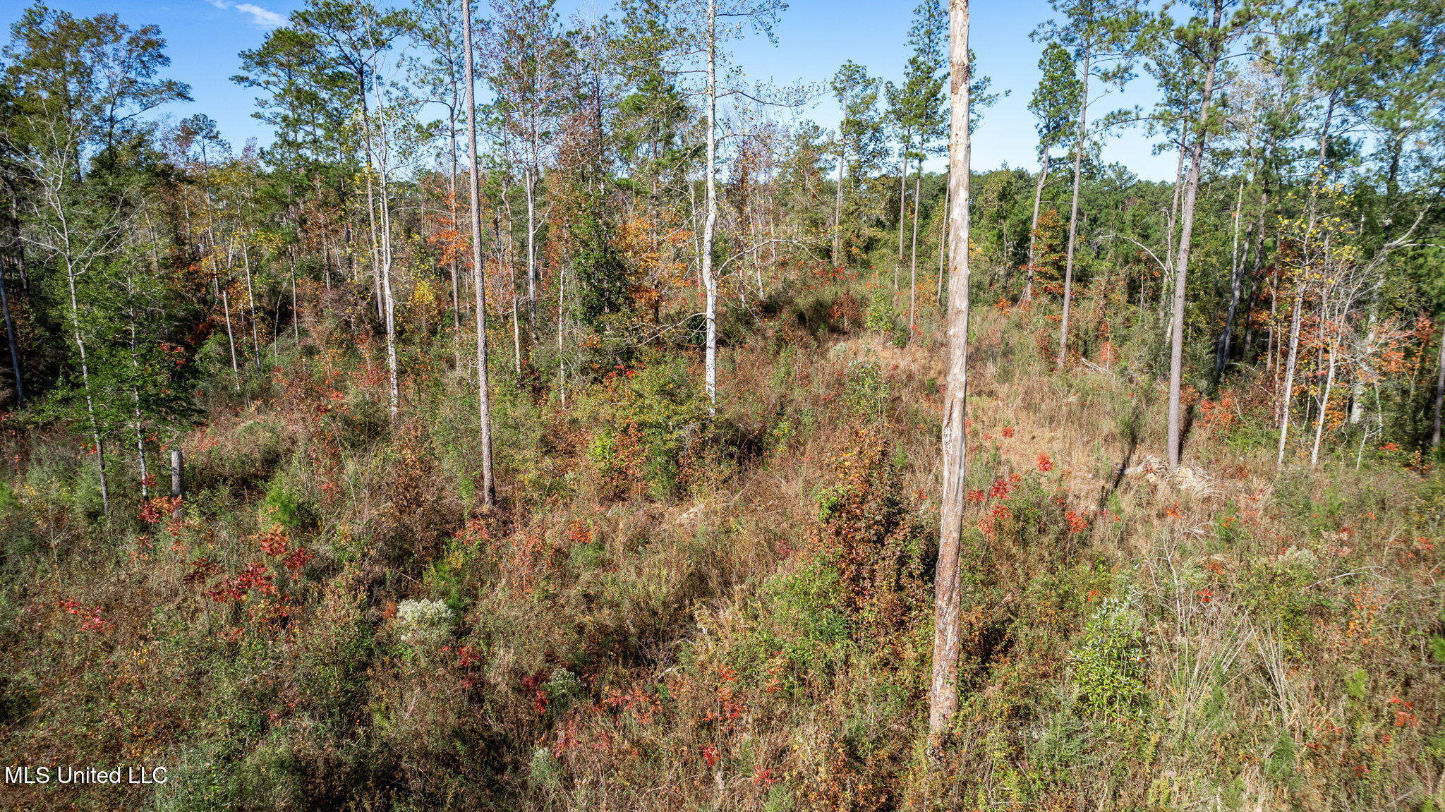 36.08 +/- Acres Placid Drive Property Photo 4