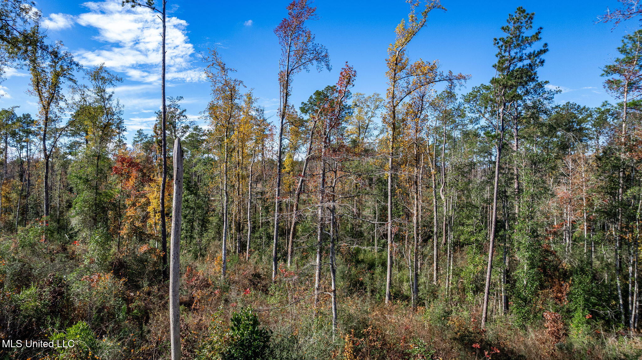 36.08 +/- Acres Placid Drive Property Photo 7