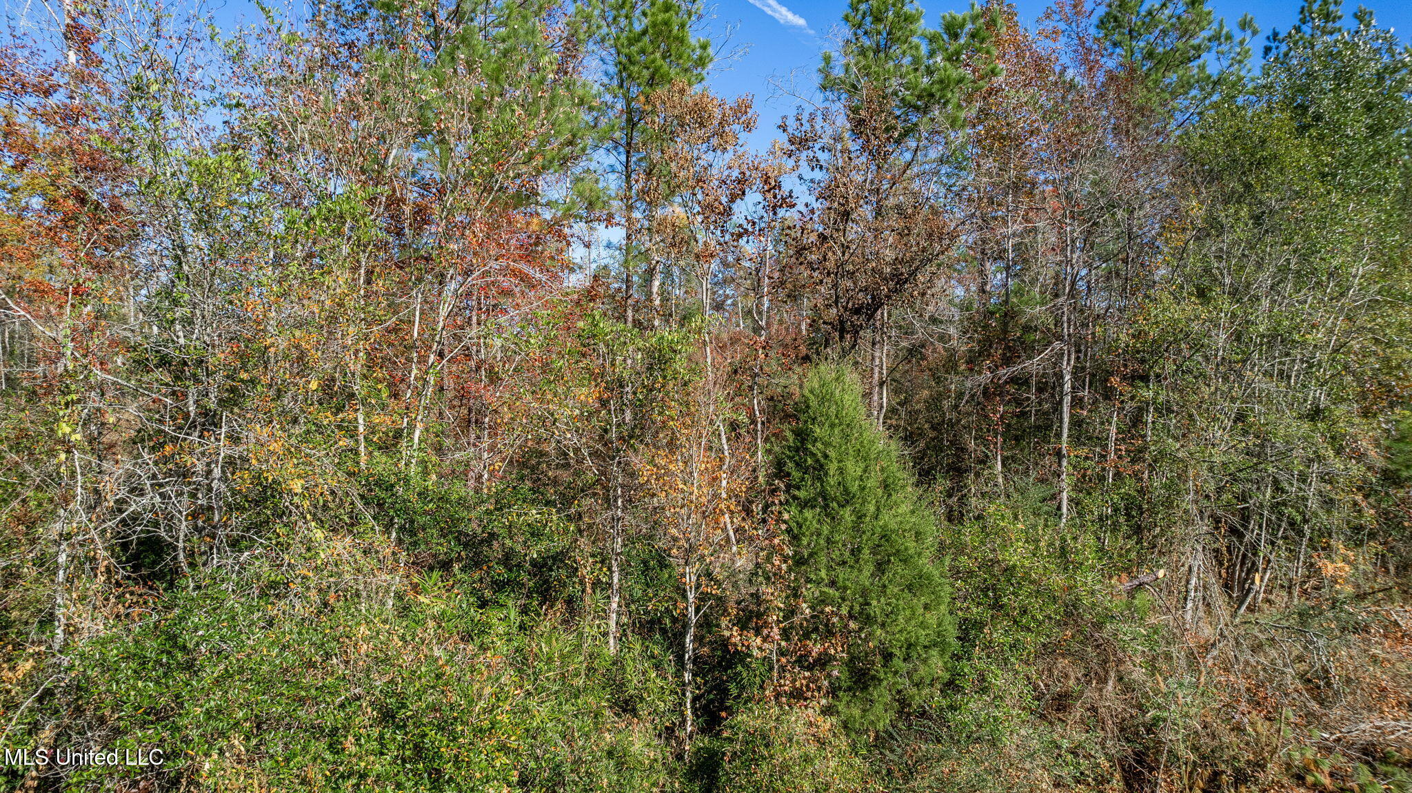 36.08 +/- Acres Placid Drive Property Photo 8