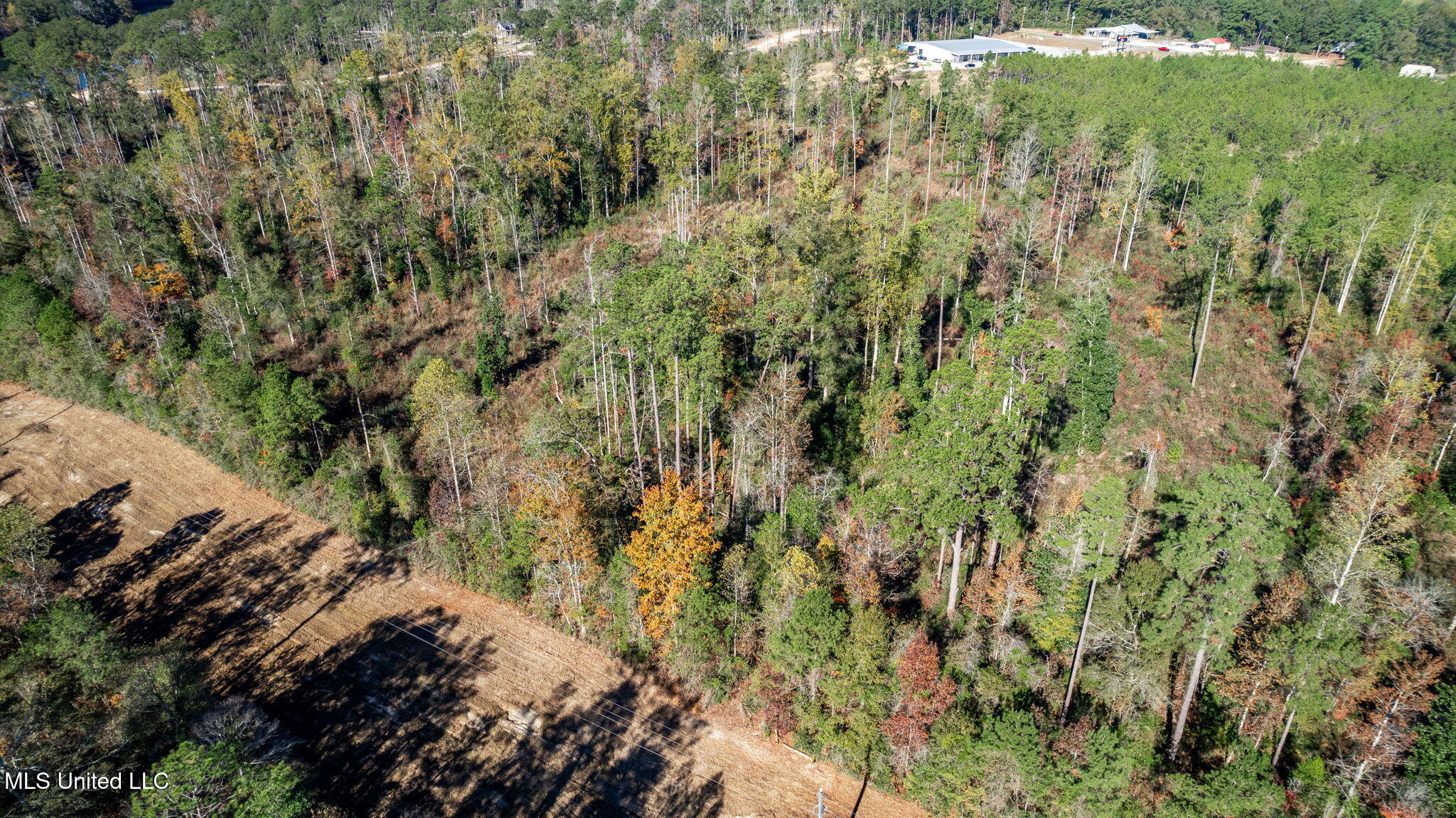 36.08 +/- Acres Placid Drive Property Photo 9