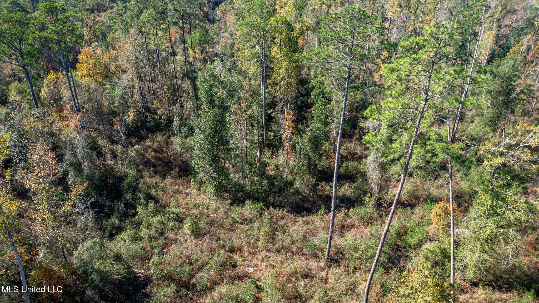 36.08 +/- Acres Placid Drive Property Photo 10