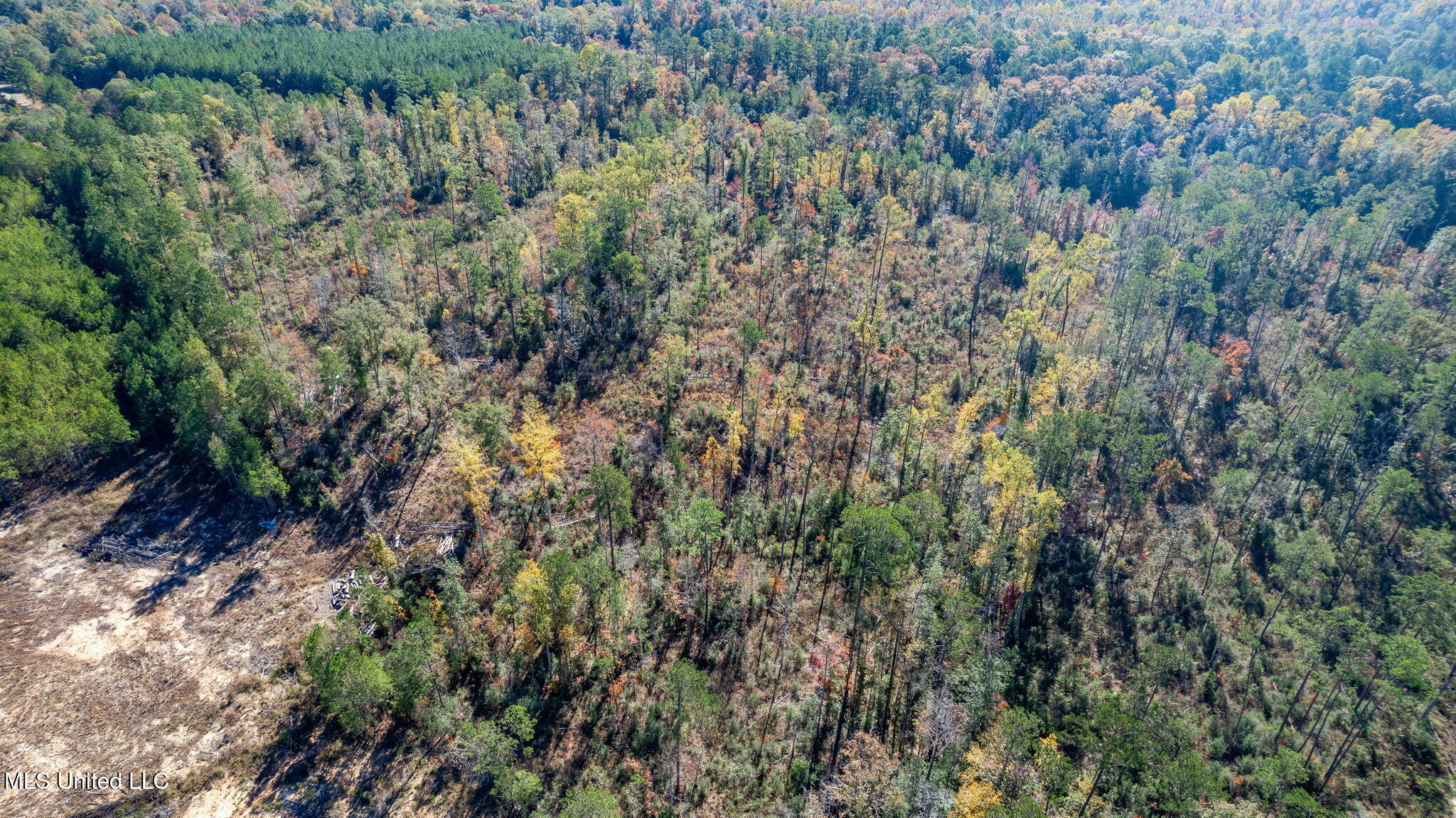 36.08 +/- Acres Placid Drive Property Photo 11
