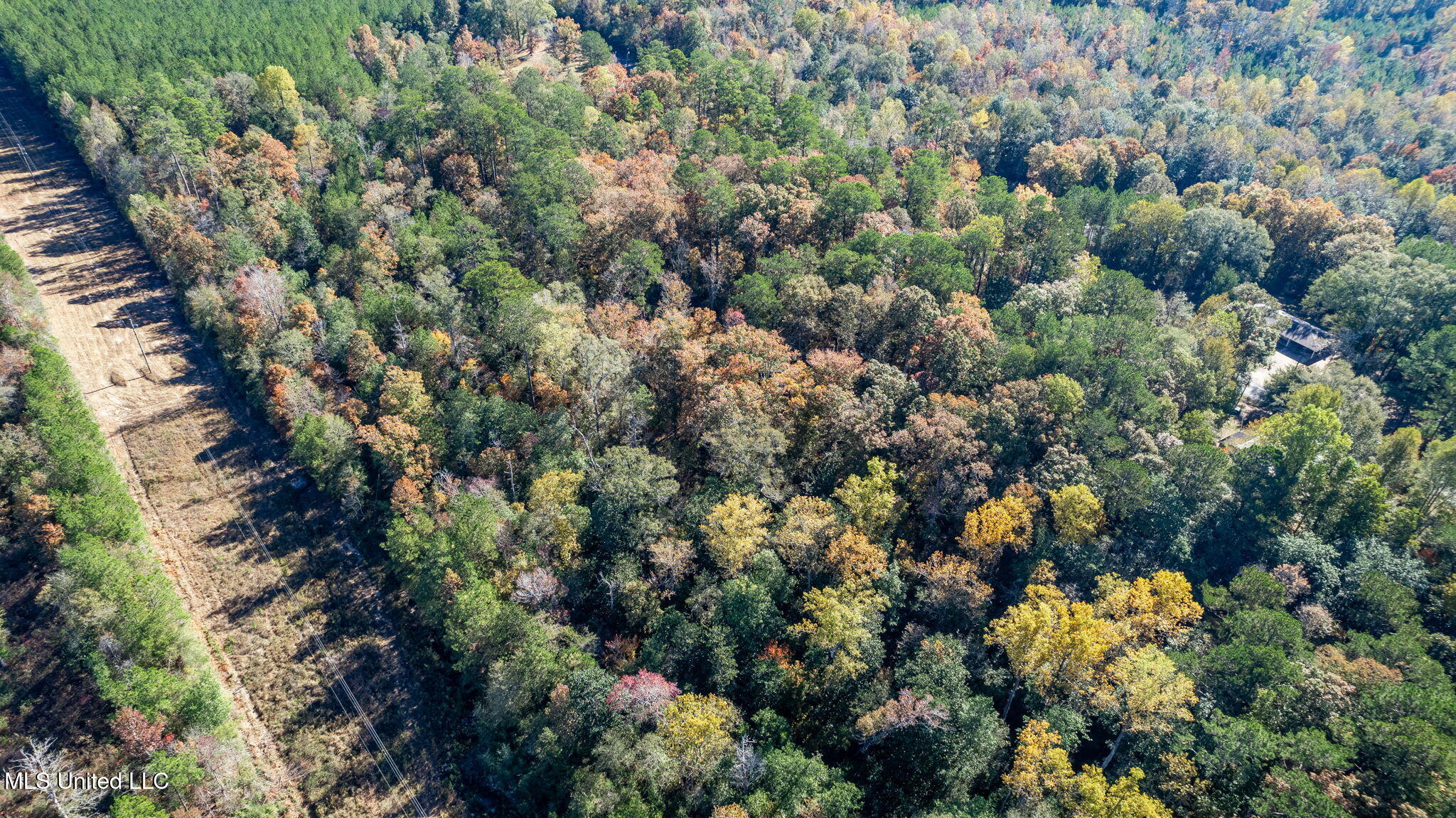 36.08 +/- Acres Placid Drive Property Photo 13