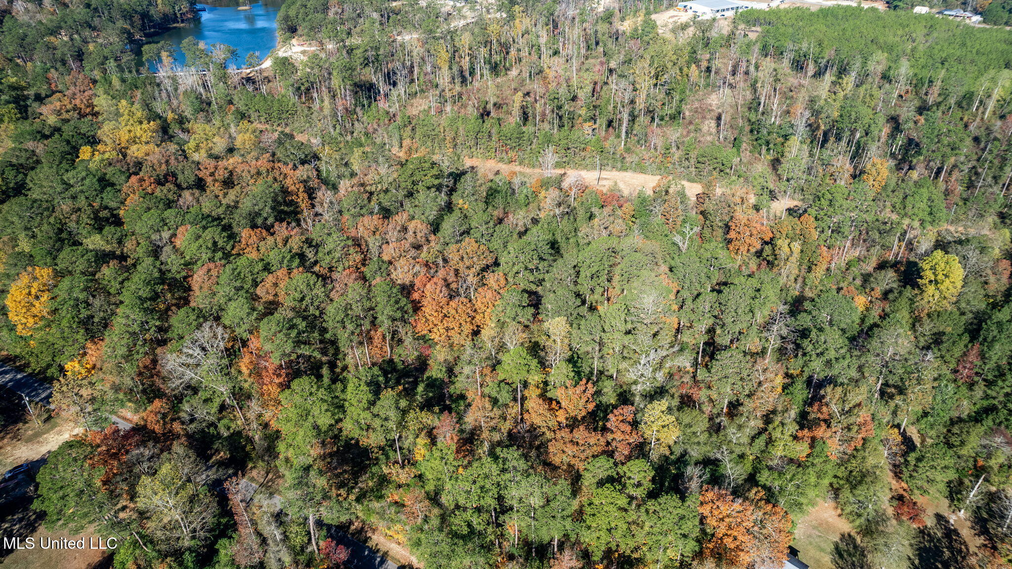 36.08 +/- Acres Placid Drive Property Photo 15