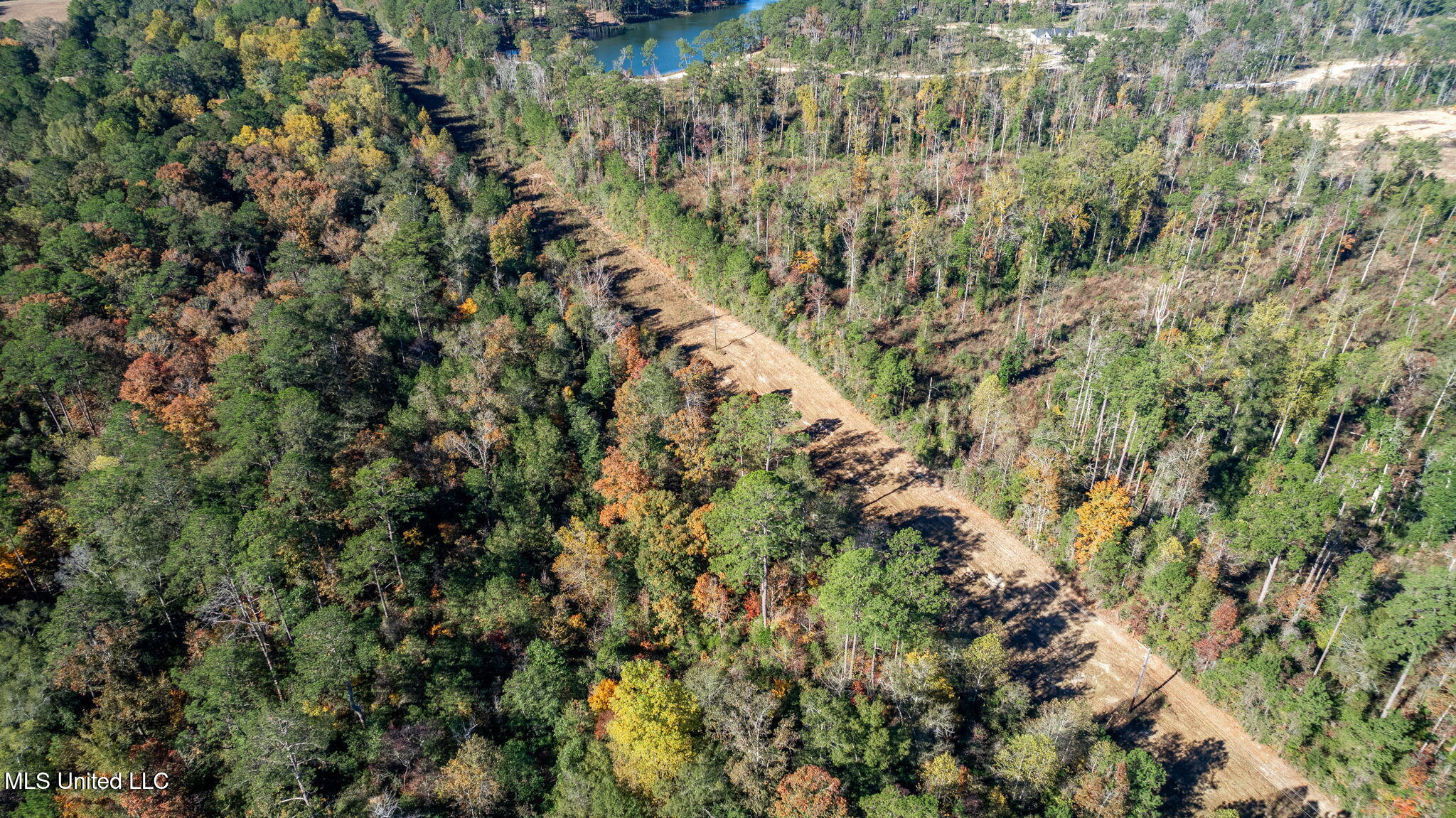 36.08 +/- Acres Placid Drive Property Photo 16
