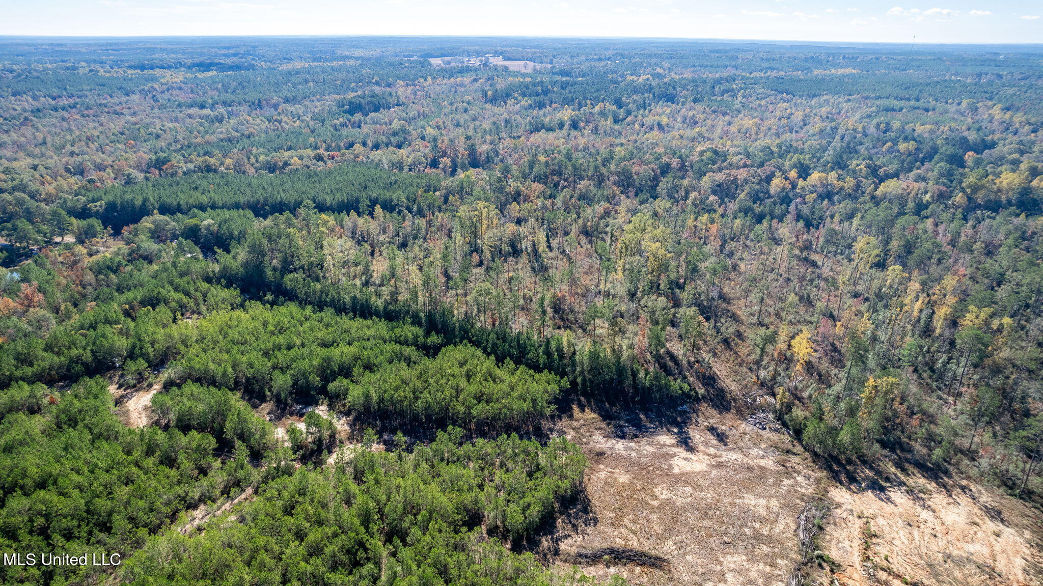 36.08 +/- Acres Placid Drive Property Photo 17