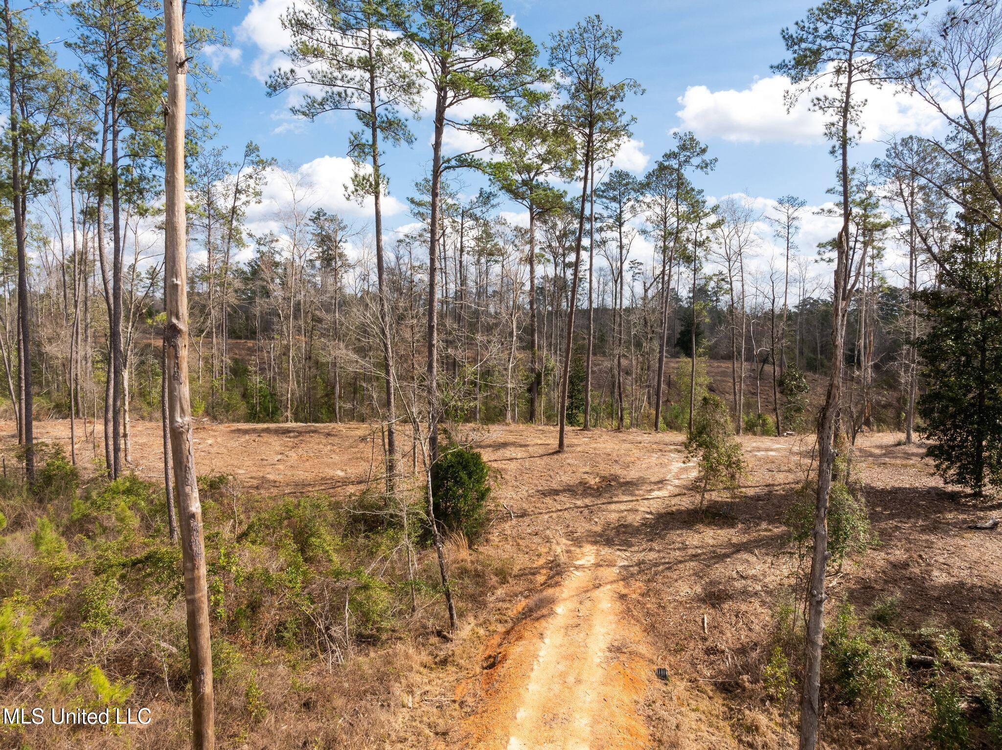 36.08 +/- Acres Placid Drive Property Photo 25