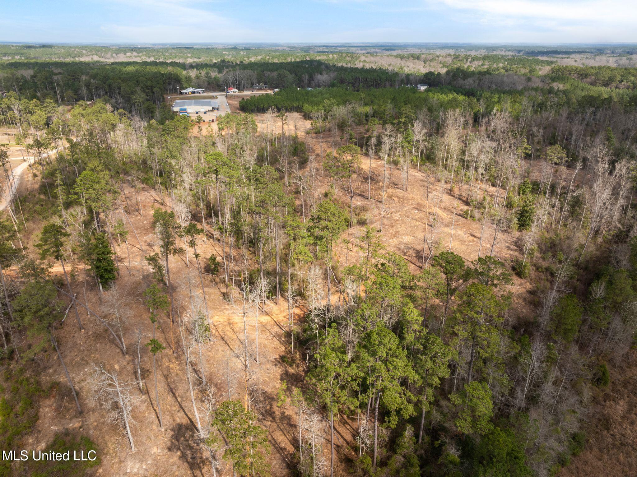 36.08 +/- Acres Placid Drive Property Photo 26