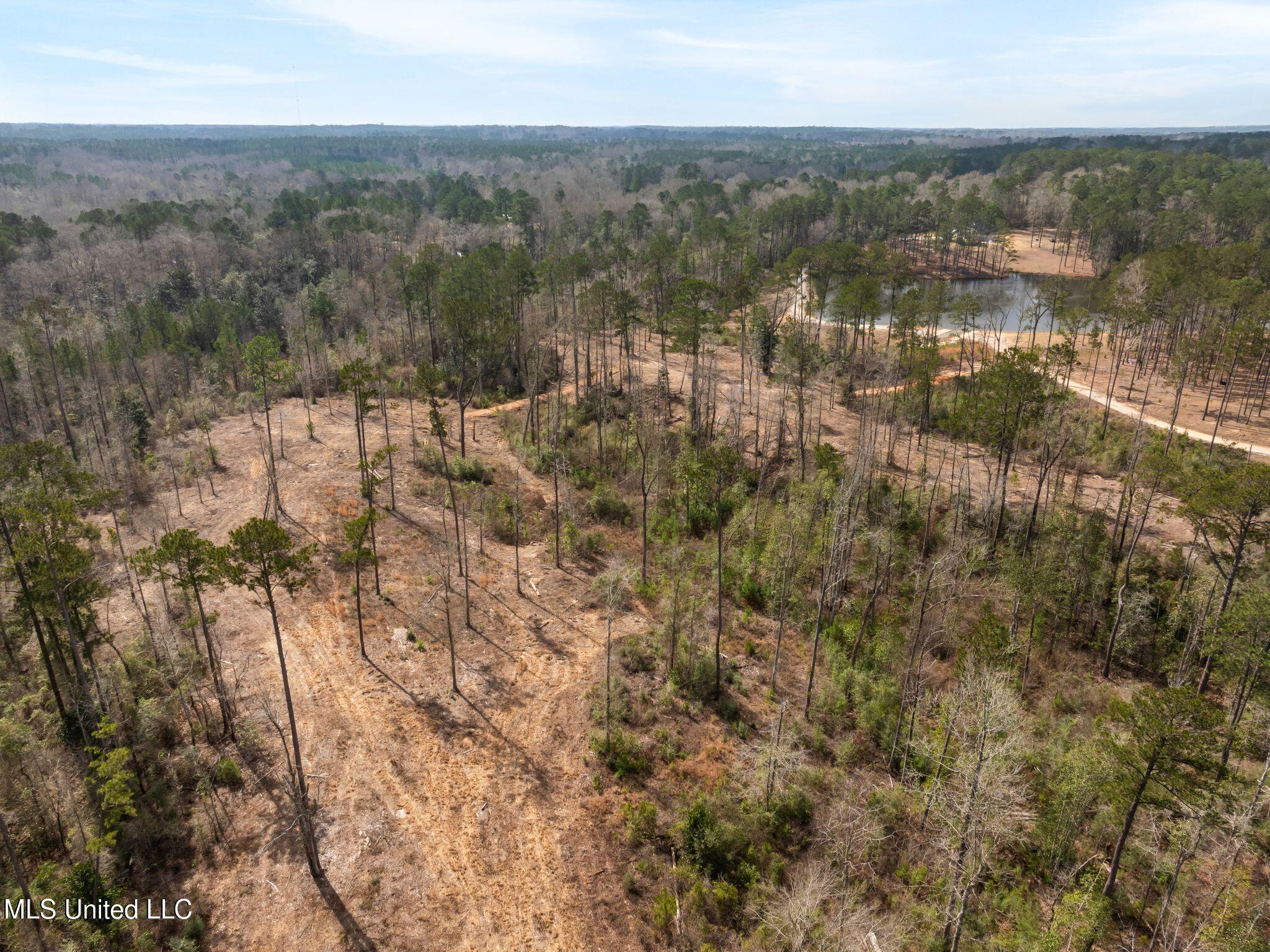 36.08 +/- Acres Placid Drive Property Photo 28