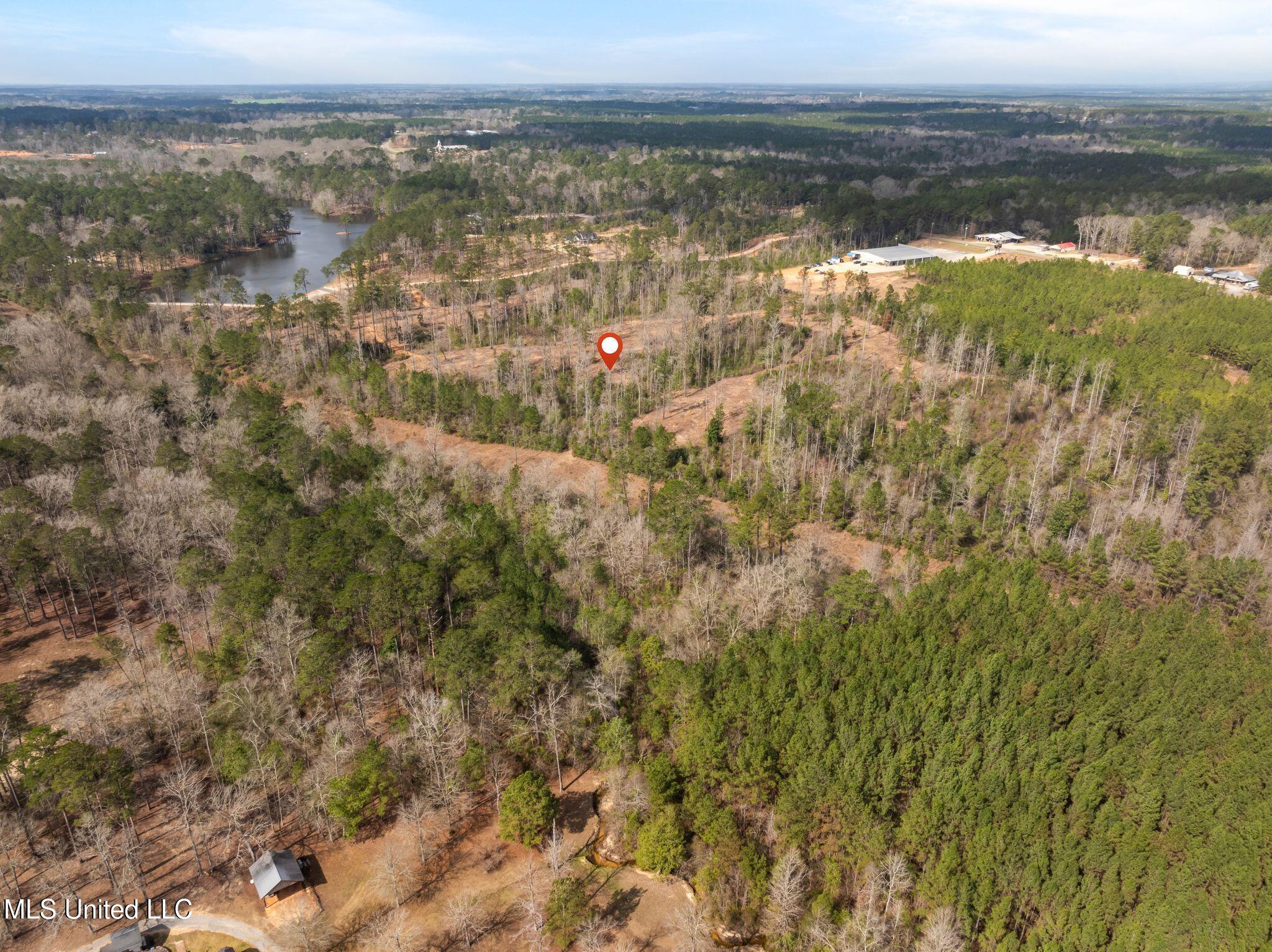36.08 +/- Acres Placid Drive Property Photo 33