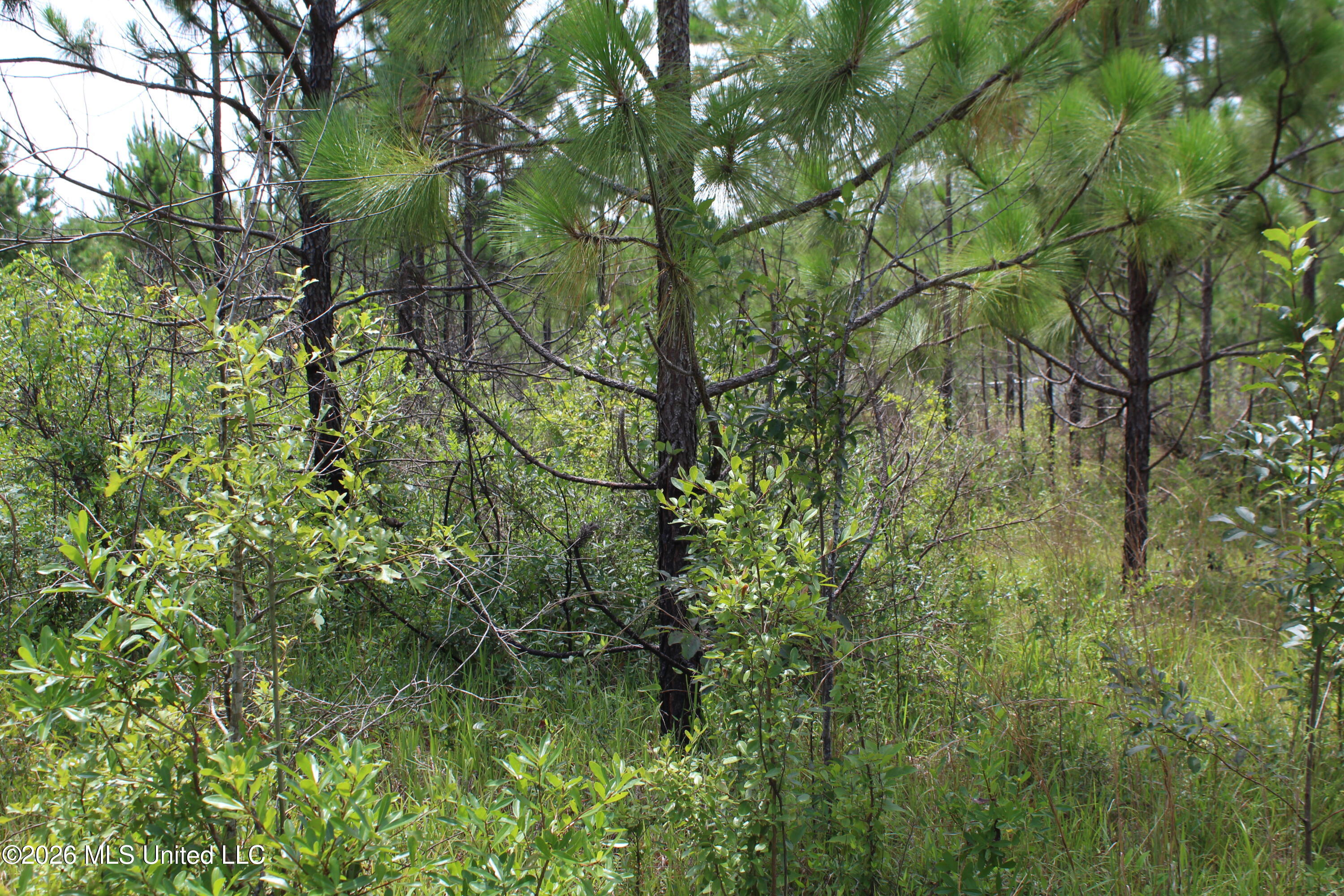 Agricola Latonia Road Property Photo 1