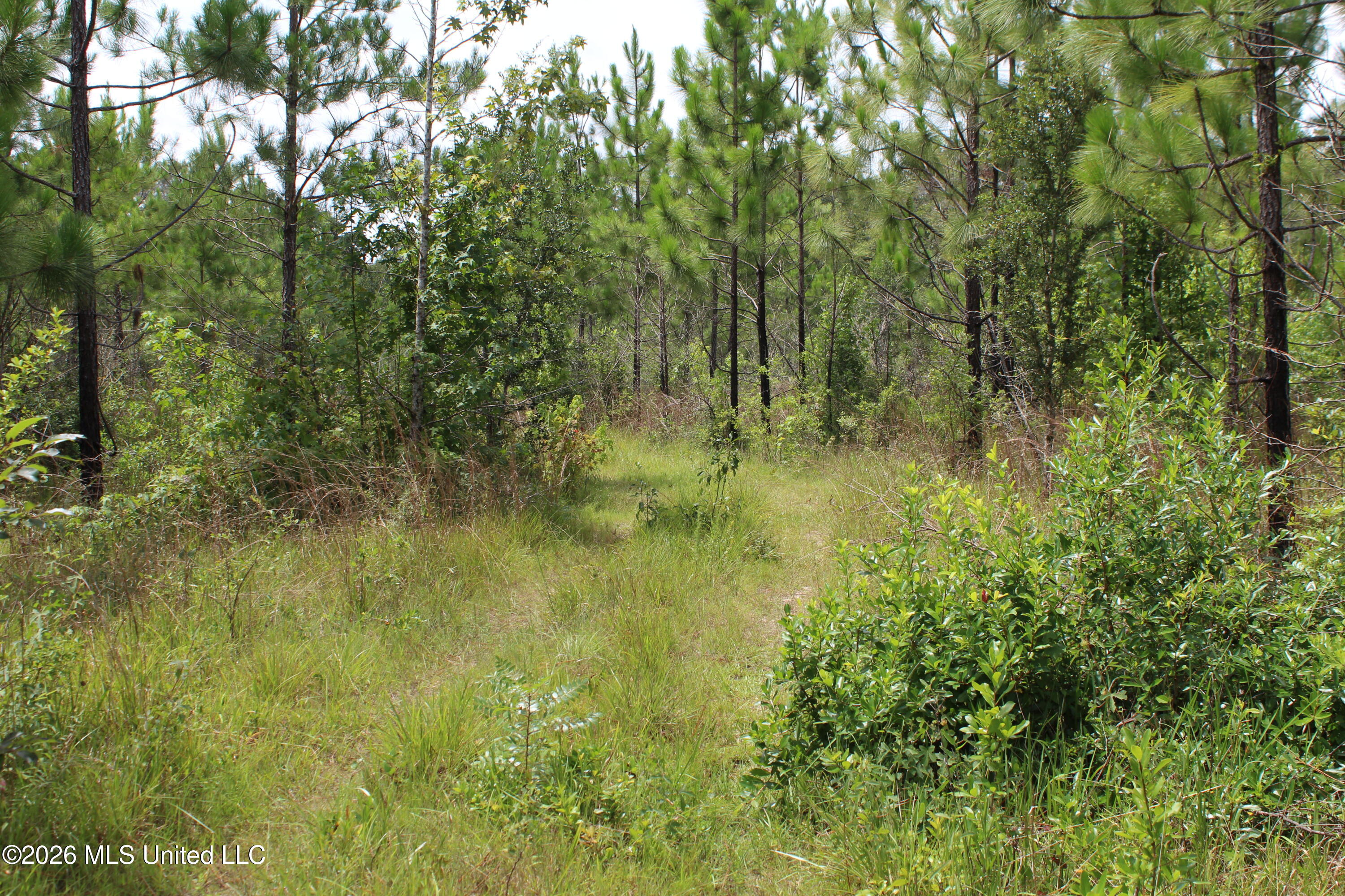 Agricola Latonia Road Property Photo 3