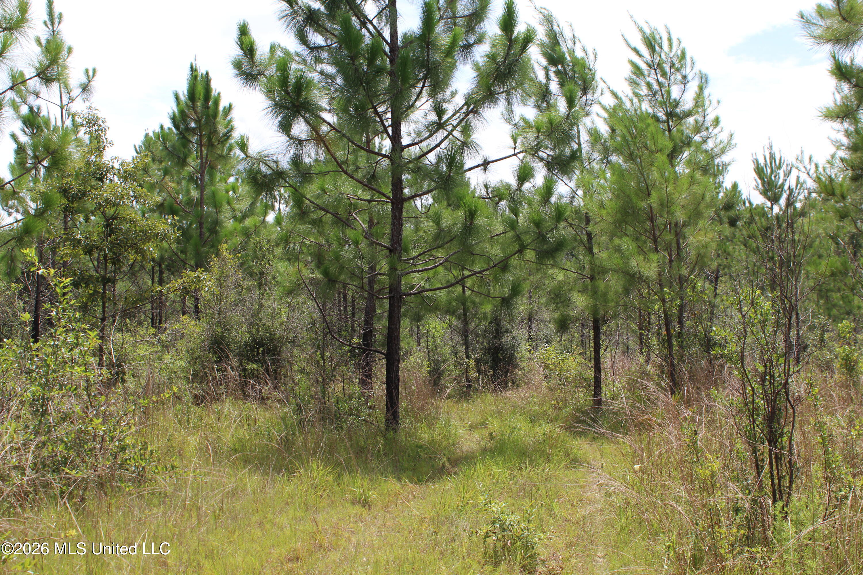 Agricola Latonia Road Property Photo 5