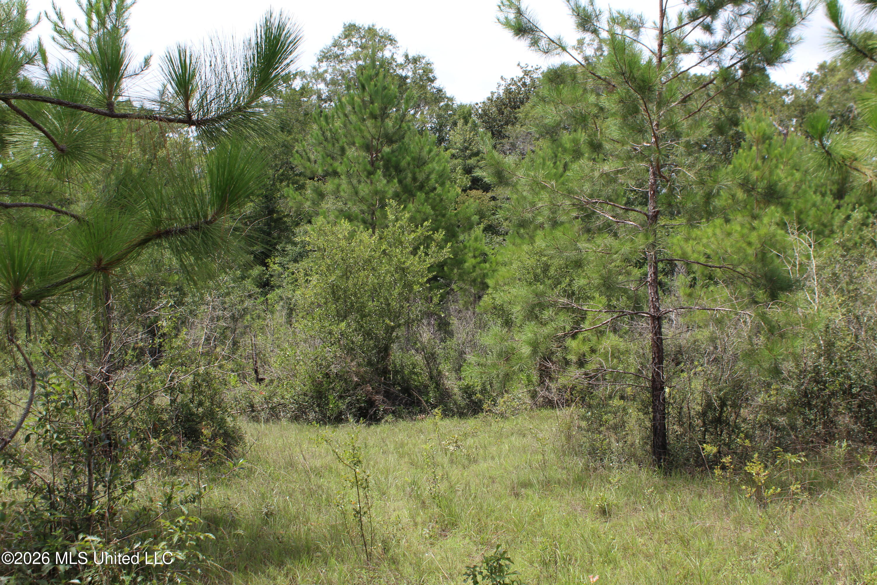 Agricola Latonia Road Property Photo 7