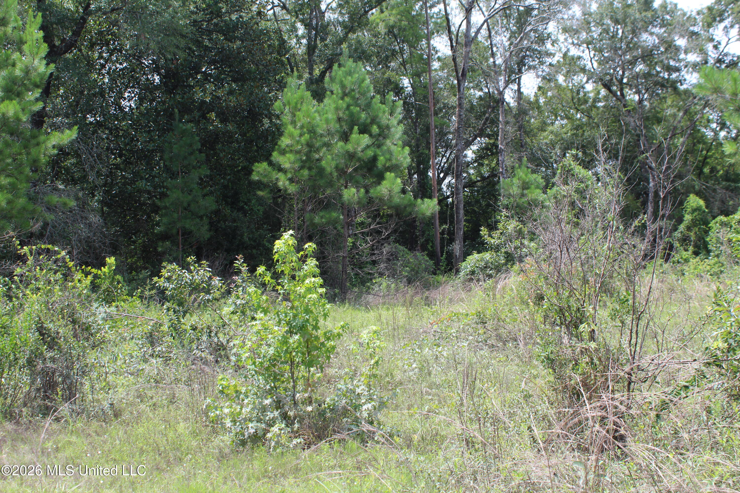 Agricola Latonia Road Property Photo 11