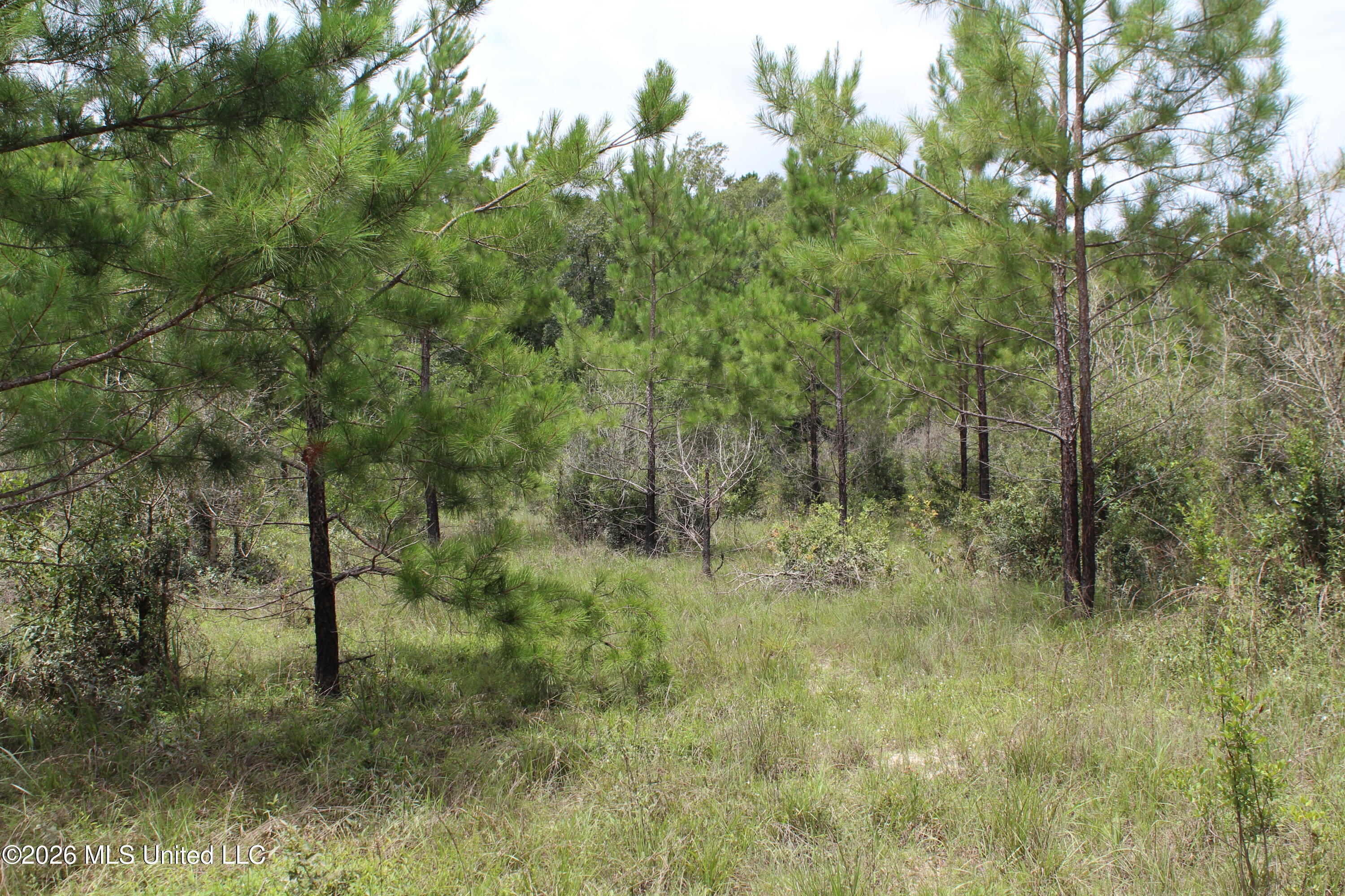 Agricola Latonia Road Property Photo 13